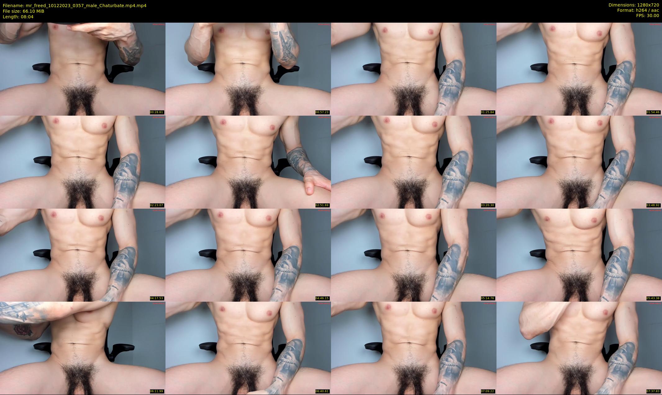 mr_freed — 9 minute Chaturbate male cam show recording, 720p, Dec 10, 2023