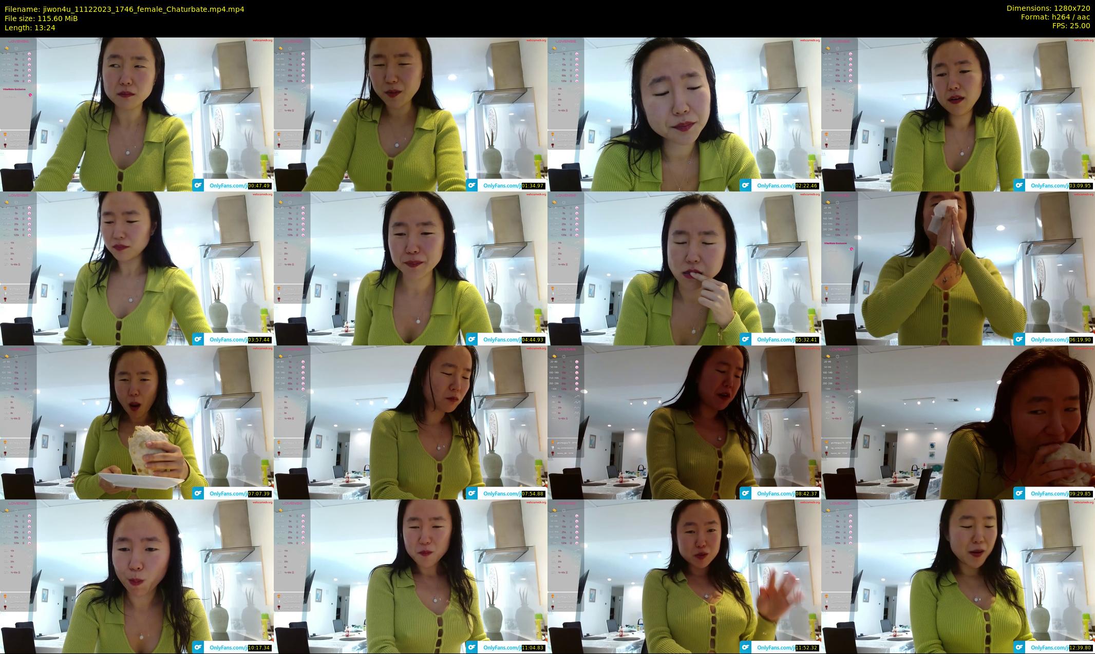 jiwon4u — 14 minute Chaturbate female cam show recording, 720p, Dec 11, 2023