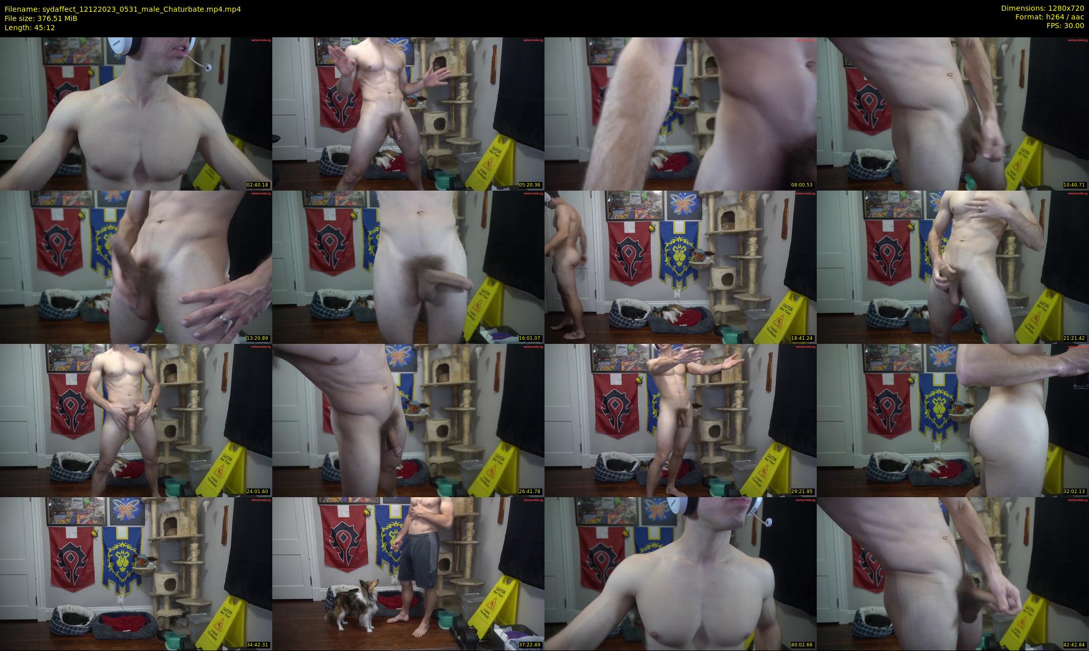 sydaffect — 46 minute Chaturbate male cam show recording, 720p, Dec 12, 2023