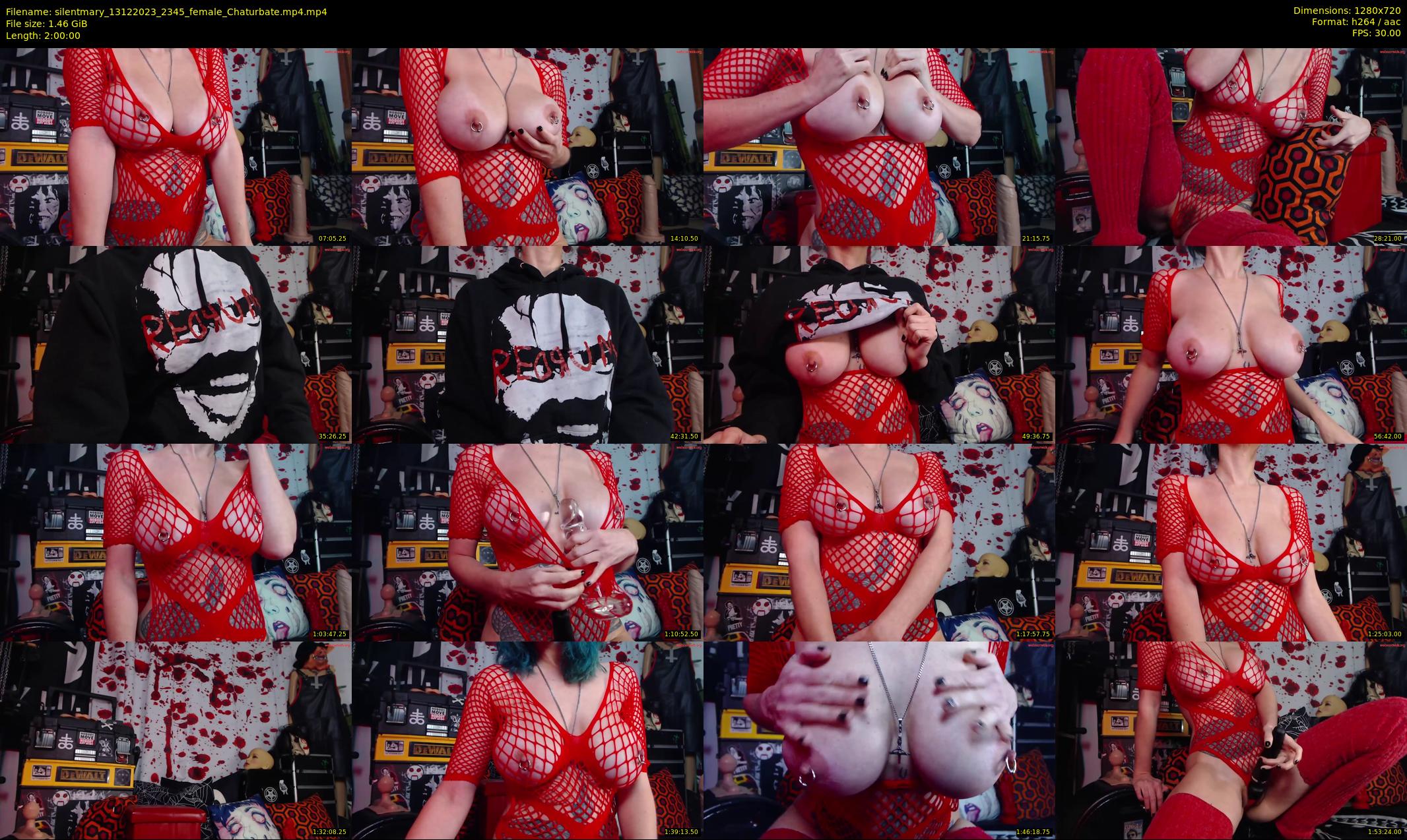 silentmary — 120 minute Chaturbate female cam show recording, 720p, Dec 13, 2023