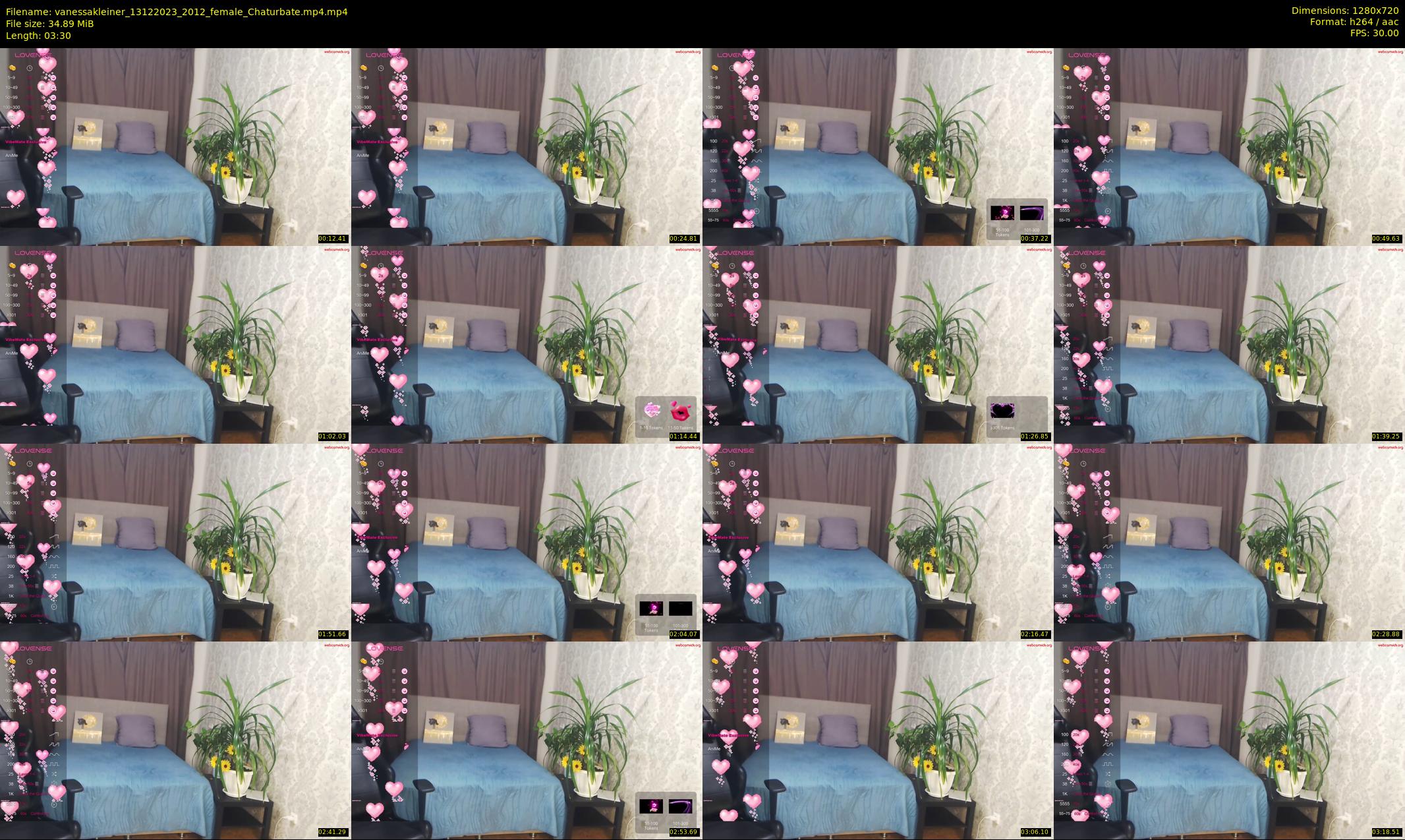 vanessakleiner — 4 minute Chaturbate female cam show recording, 720p, Dec 13, 2023