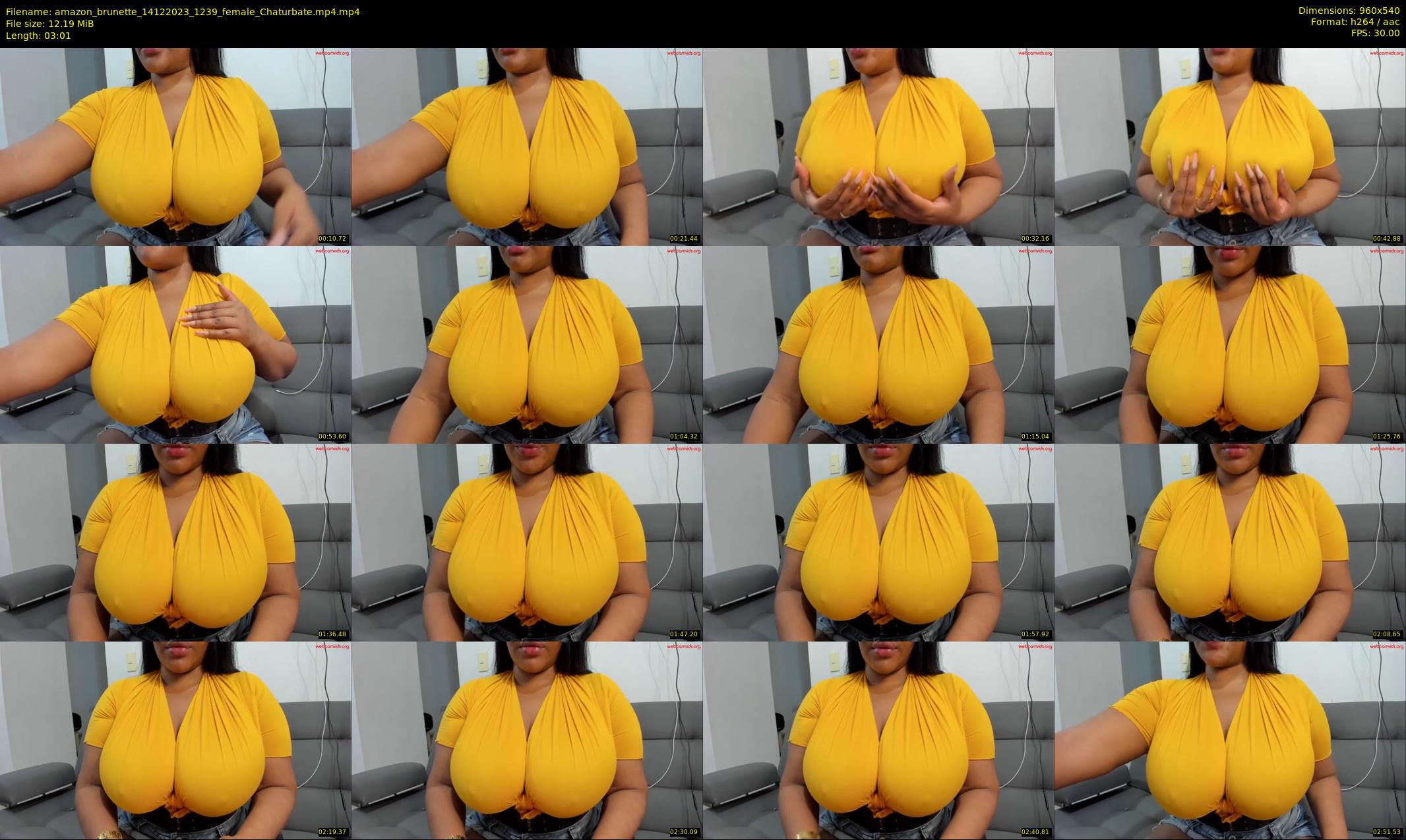 amazon_brunette — 4 minute Chaturbate female cam show recording, 480p, Dec 14, 2023