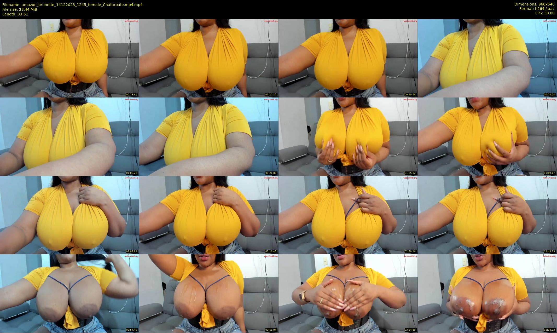 amazon_brunette — 4 minute Chaturbate female cam show recording, 480p, Dec 14, 2023
