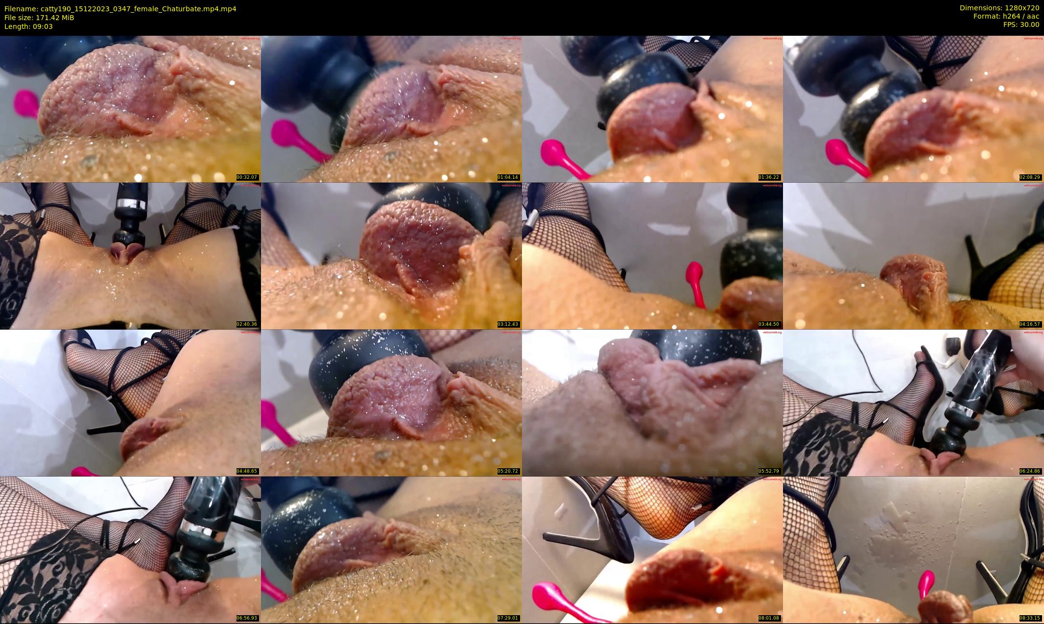 catty190 — 10 minute Chaturbate female cam show recording, 720p, Dec 15, 2023