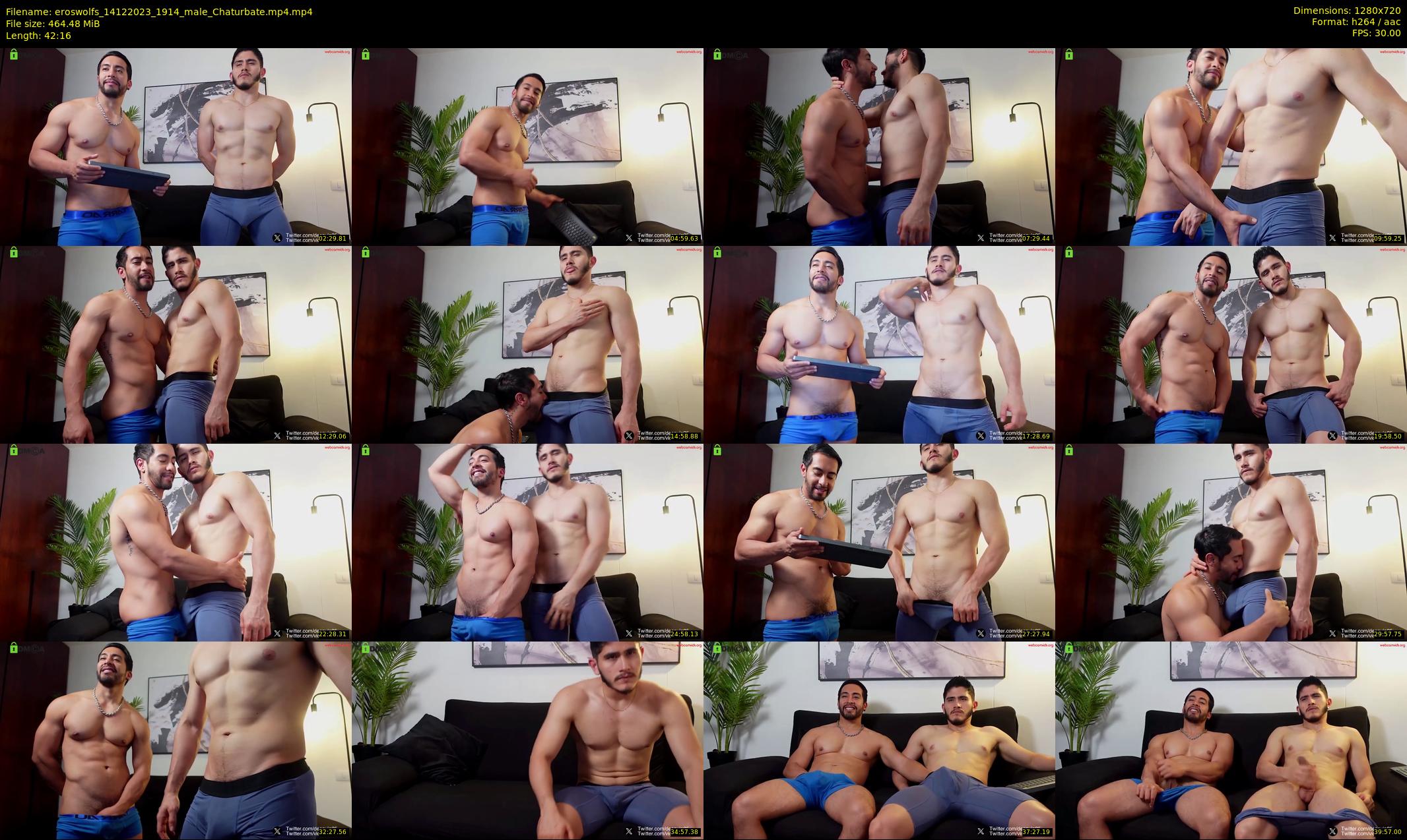 eroswolfs — 43 minute Chaturbate male cam show recording, 720p, Dec 14, 2023