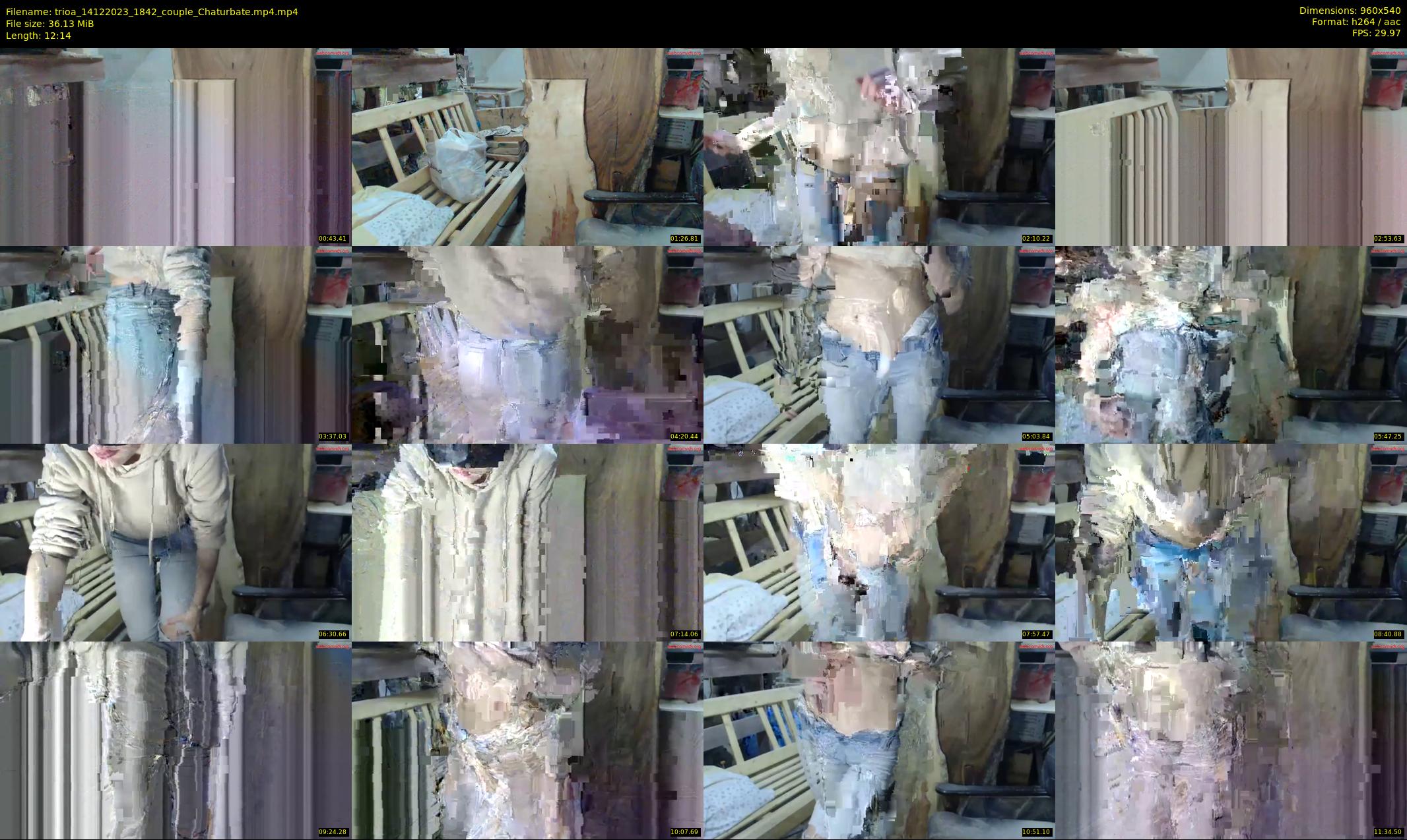 trioa — 13 minute Chaturbate couple cam show recording, 480p, Dec 14, 2023