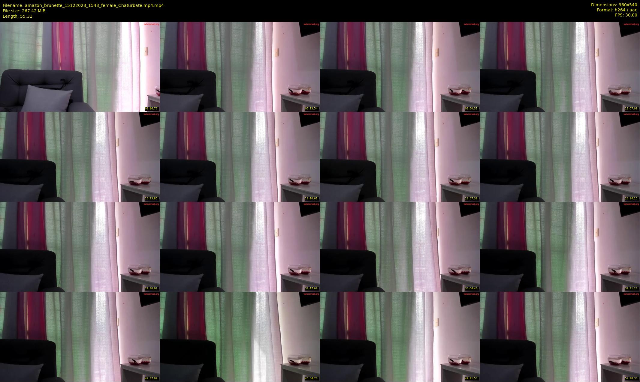 amazon_brunette — 56 minute Chaturbate female cam show recording, 480p, Dec 15, 2023