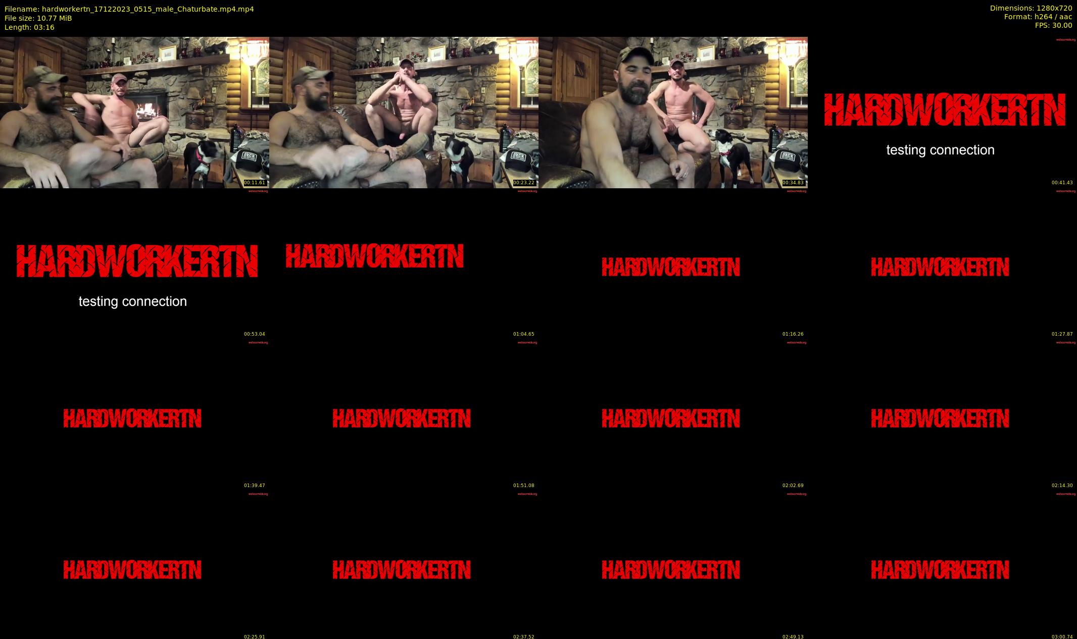 hardworkertn — 4 minute Chaturbate male cam show recording, 720p, Dec 17, 2023