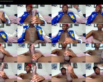 real1dk — 54 minute Chaturbate male cam show recording, 720p, Dec 17, 2023