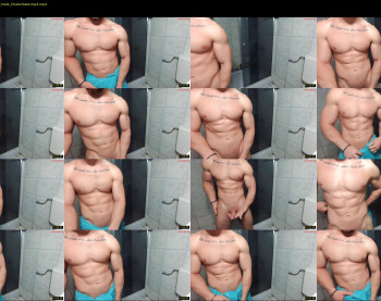 advp69 — 31 minute Chaturbate male cam show recording, 480p, Dec 19, 2023