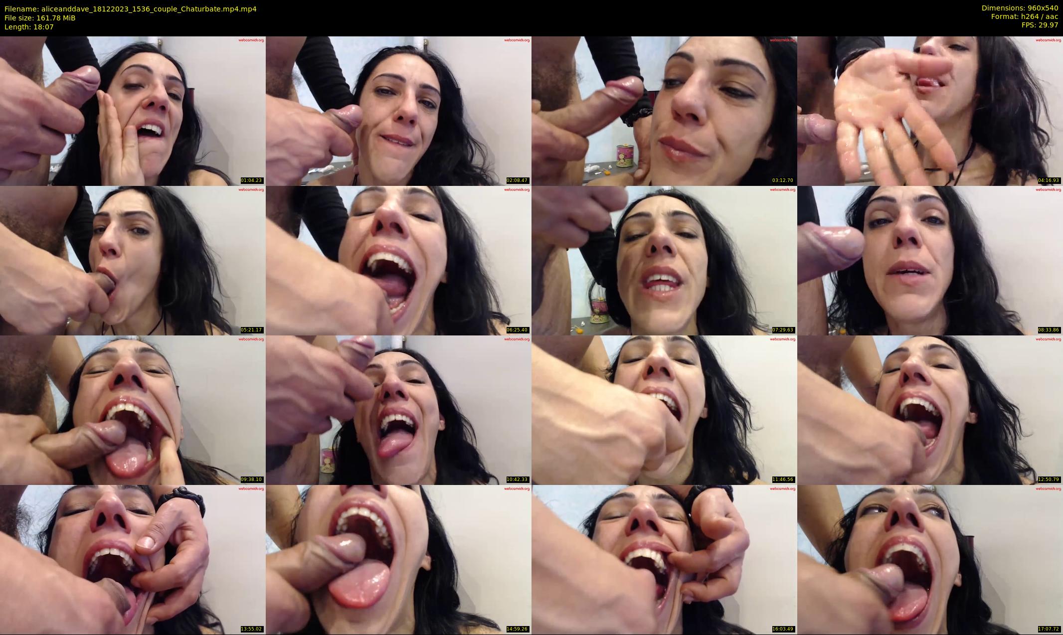 aliceanddave — 19 minute Chaturbate couple cam show recording, 480p, Dec 18, 2023
