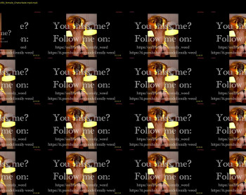emilyweed — 11 minute Chaturbate couple cam show recording, 720p, Dec 19, 2023