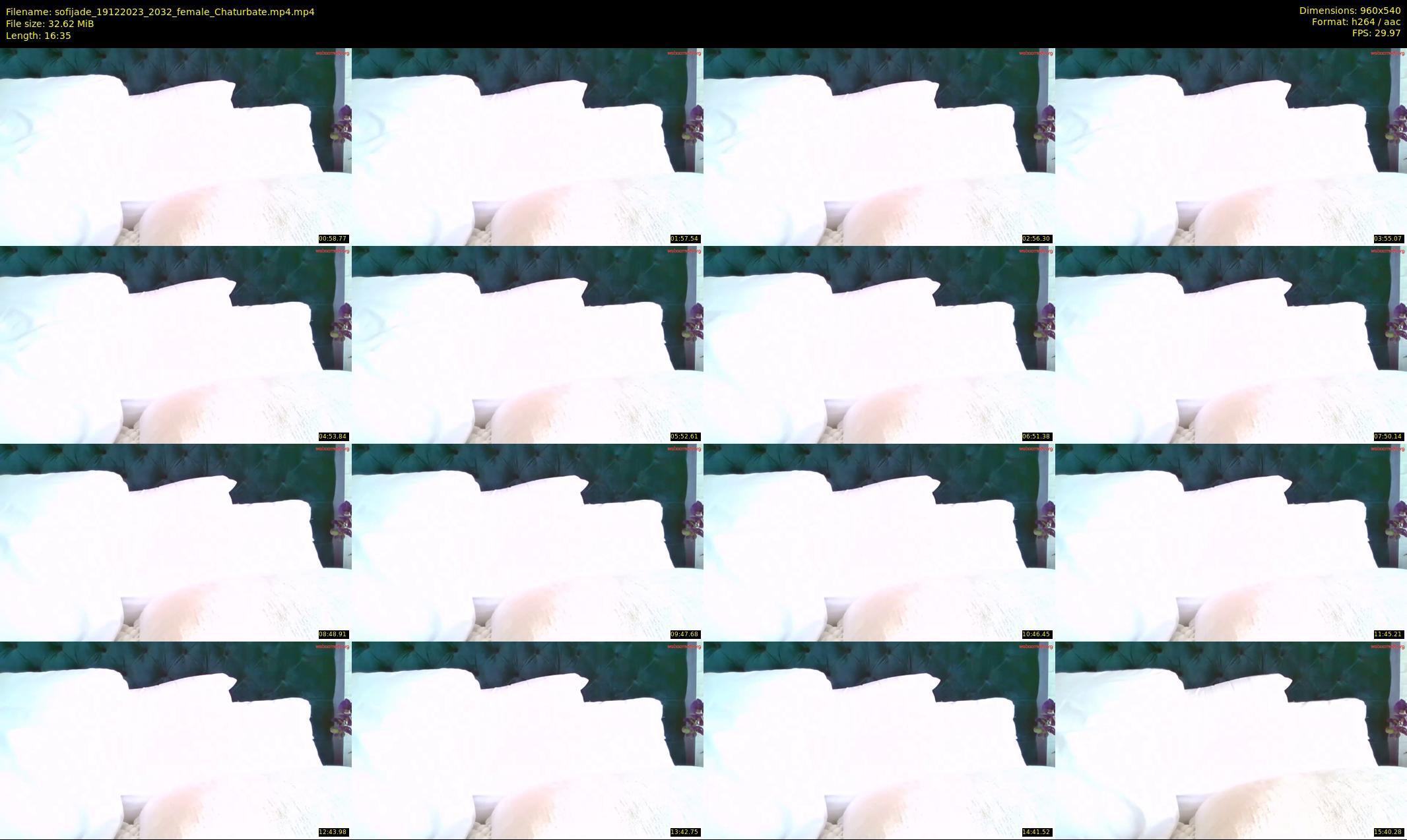 sofijade — 17 minute Chaturbate female cam show recording, 480p, Dec 19, 2023