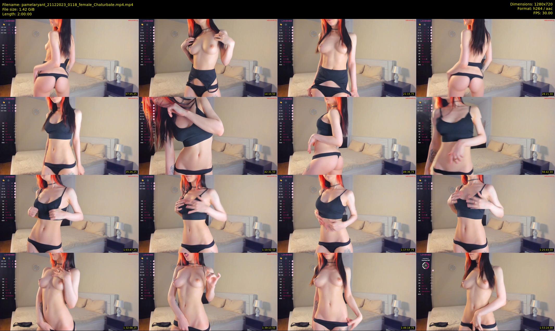 pamelaryant — 120 minute Chaturbate female cam show recording, 720p, Dec 21, 2023