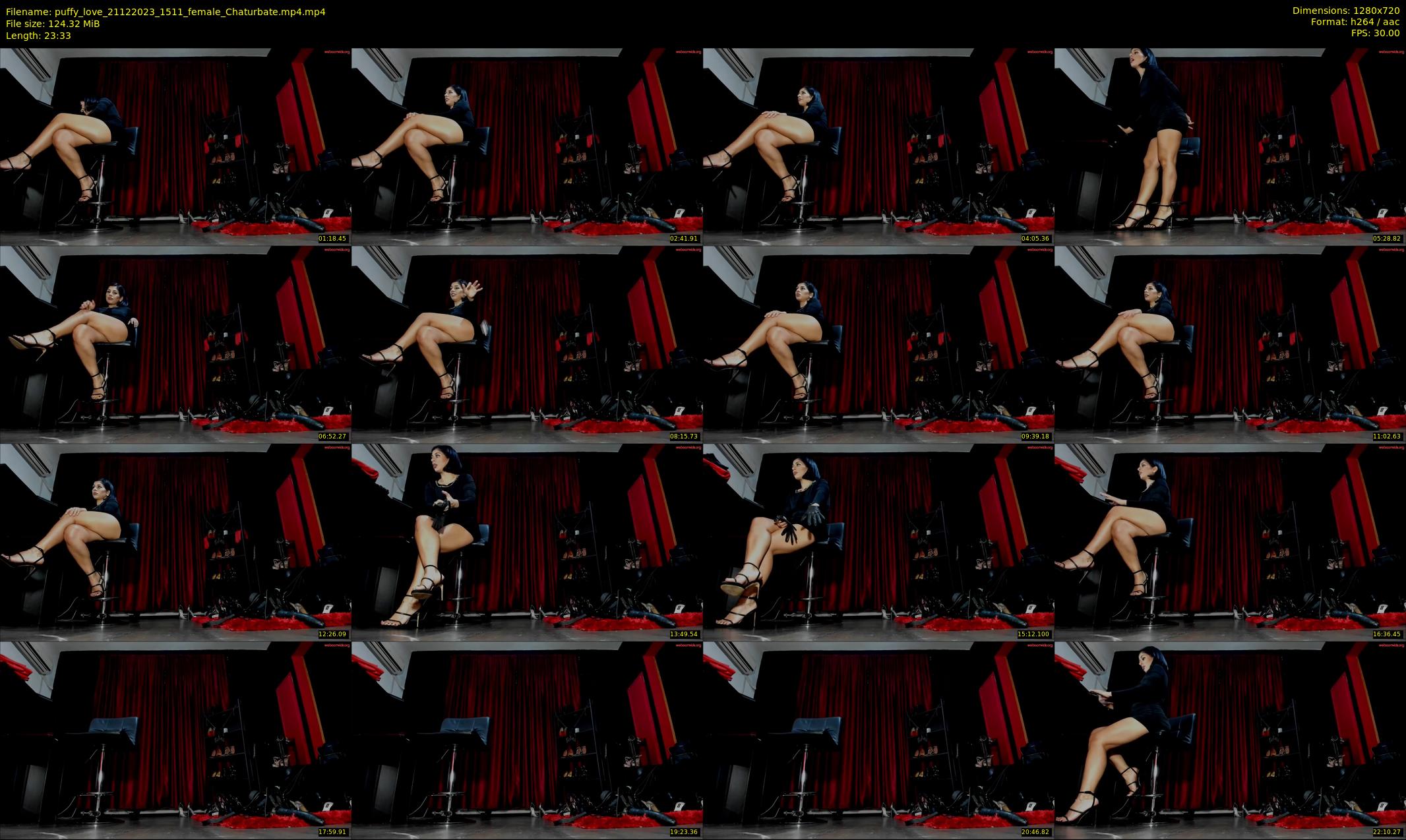 puffy_love — 24 minute Chaturbate female cam show recording, 720p, Dec 21, 2023