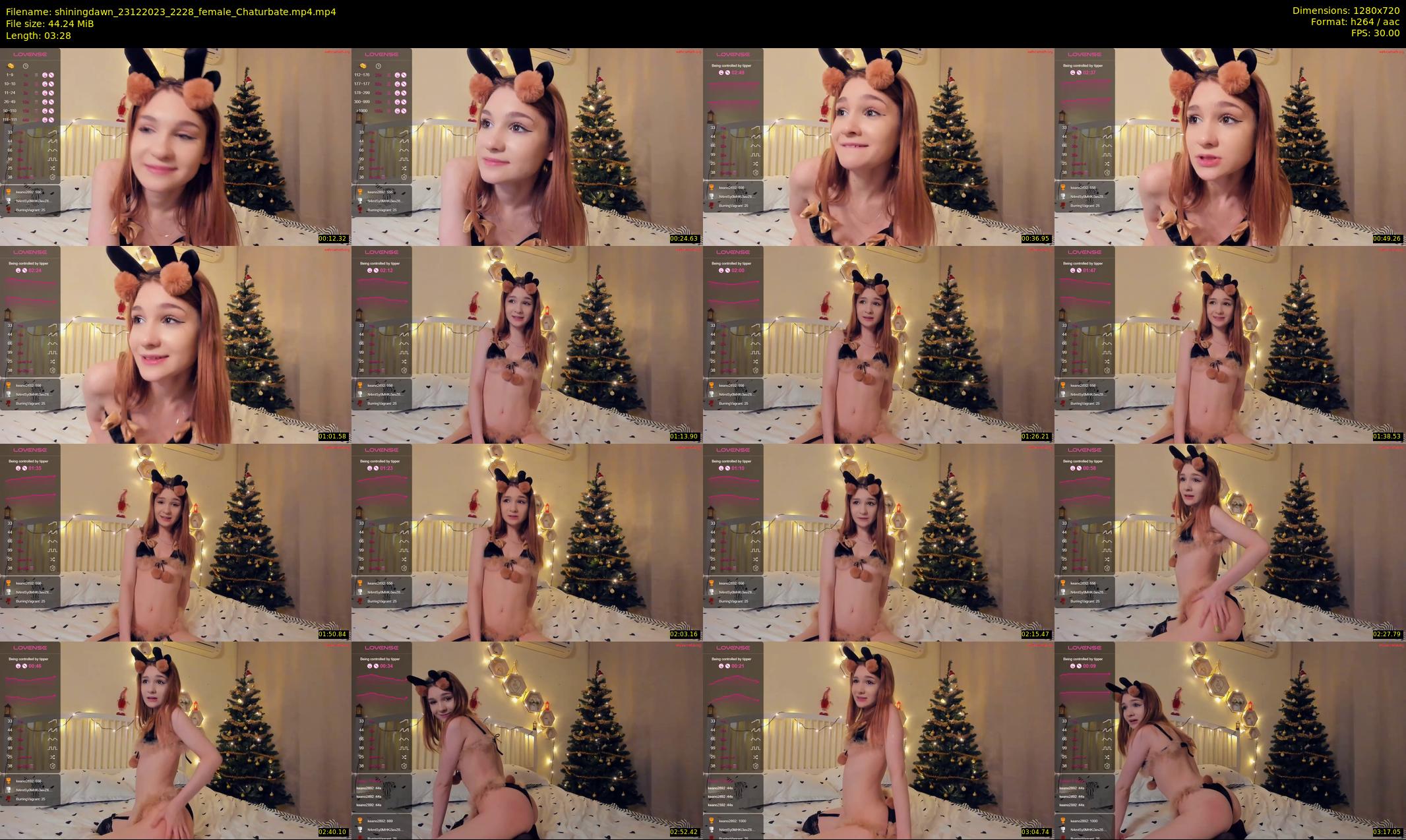 shiningdawn — 4 minute Chaturbate female cam show recording, 720p, Dec 23, 2023