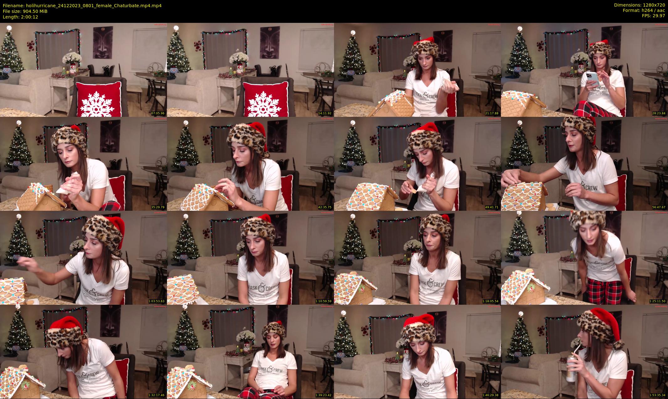 holihurricane — 121 minute Chaturbate female cam show recording, 720p, Dec 24, 2023
