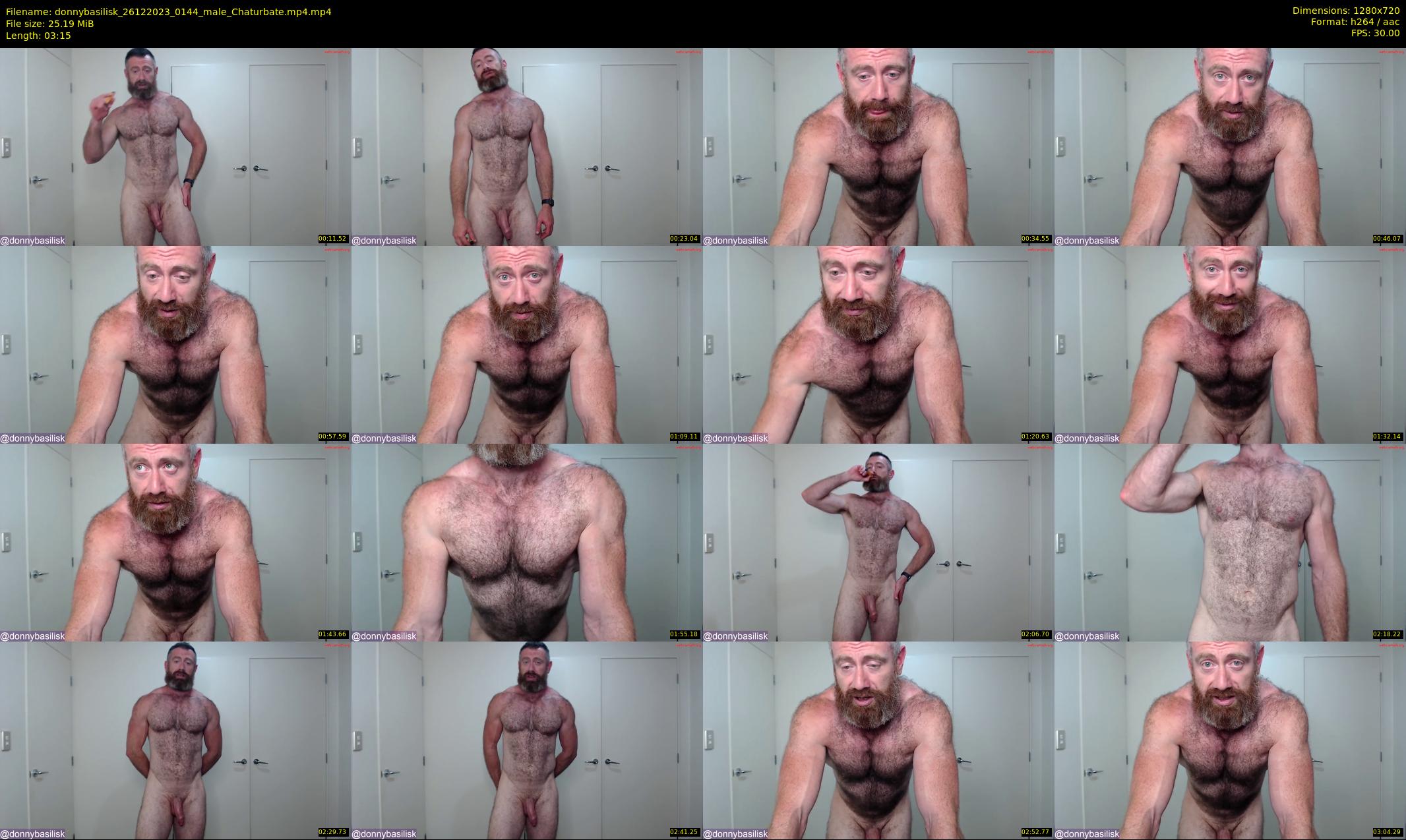 donnybasilisk — 4 minute Chaturbate male cam show recording, 720p, Dec 26, 2023