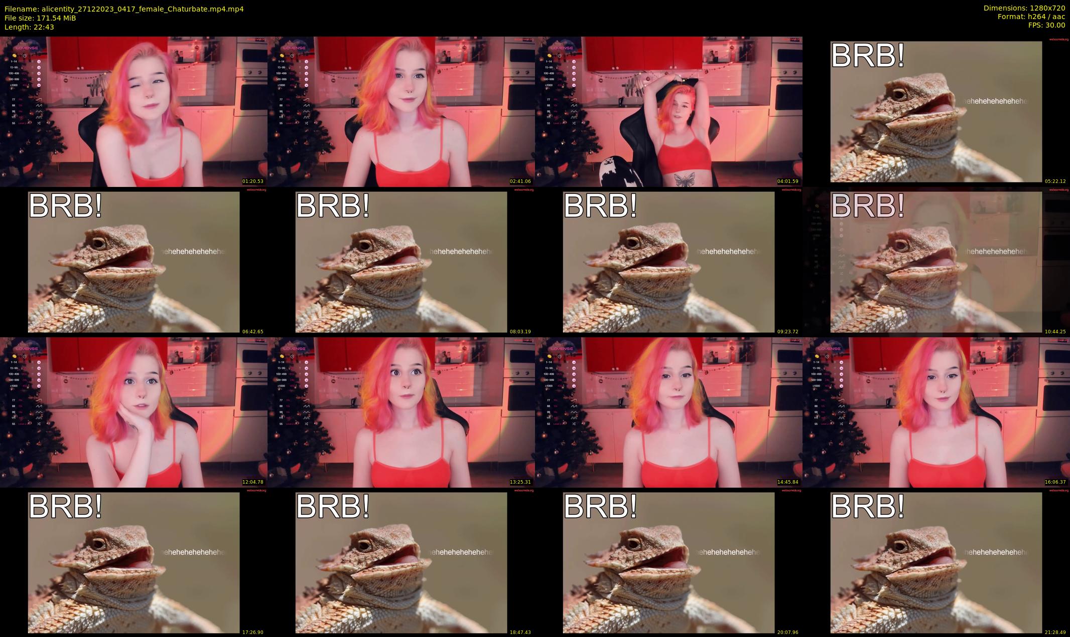 alicentity — 23 minute Chaturbate female cam show recording, 720p, Dec 27, 2023