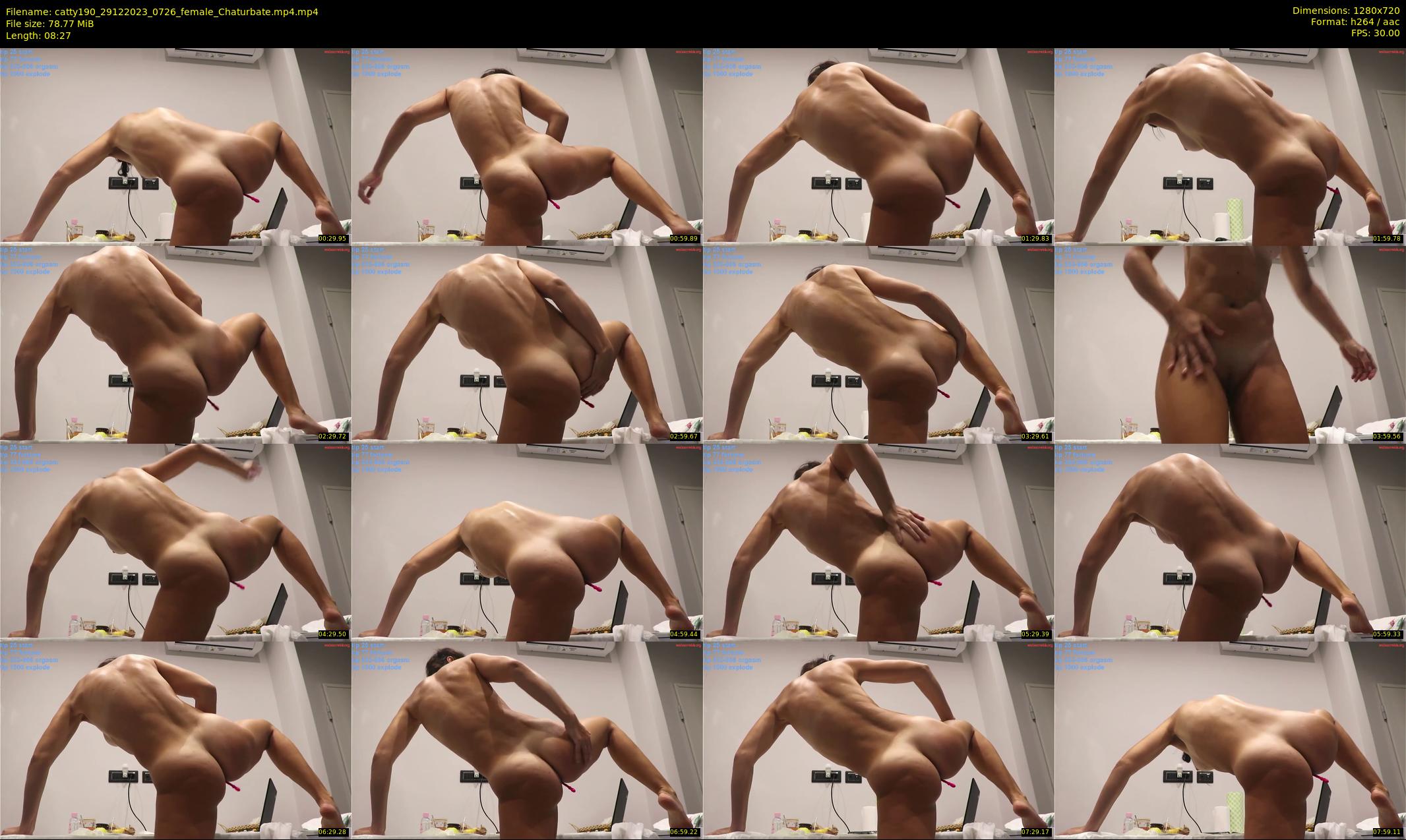 catty190 — 9 minute Chaturbate female cam show recording, 720p, Dec 29, 2023