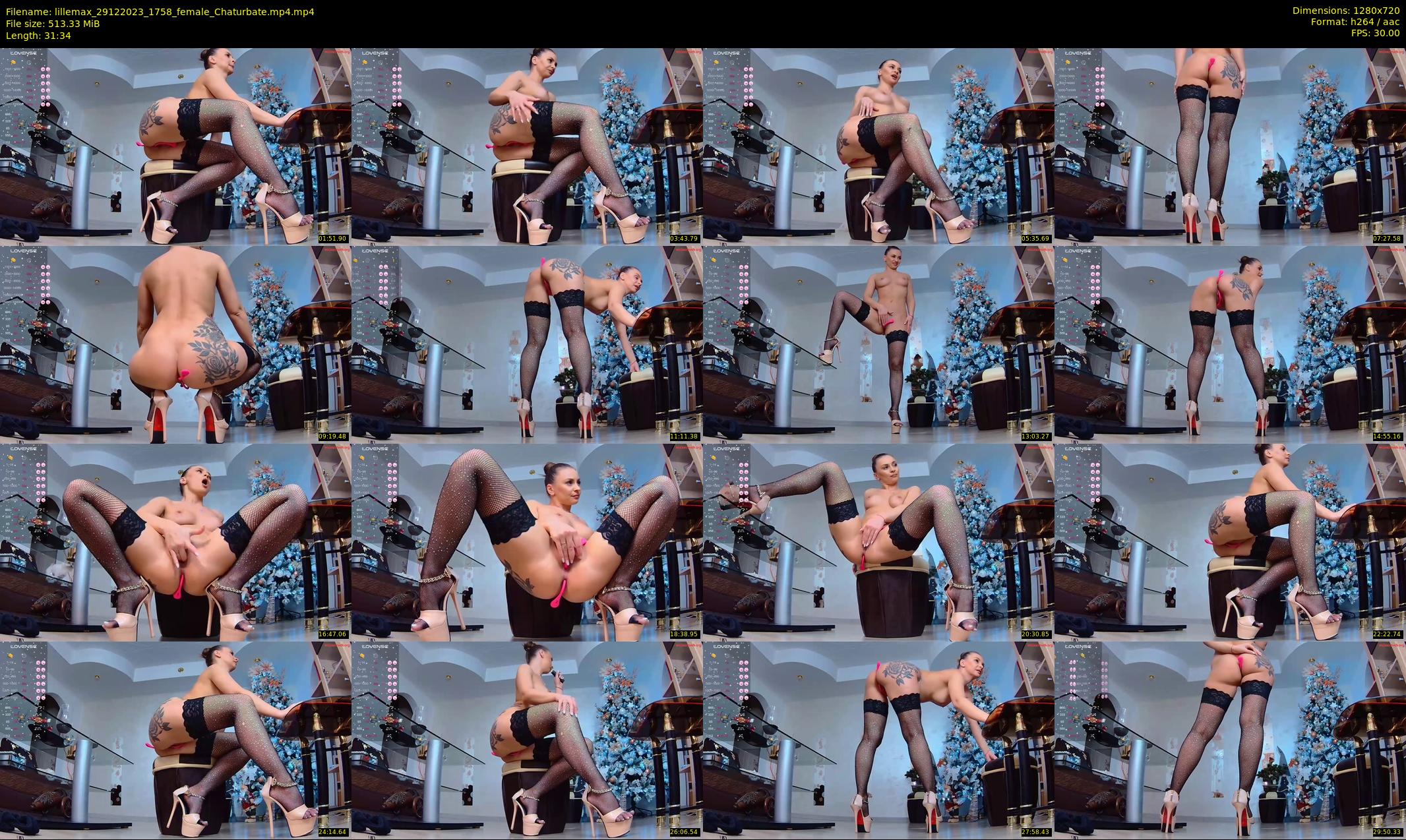 lillemax — 32 minute Chaturbate female cam show recording, 720p, Dec 29, 2023
