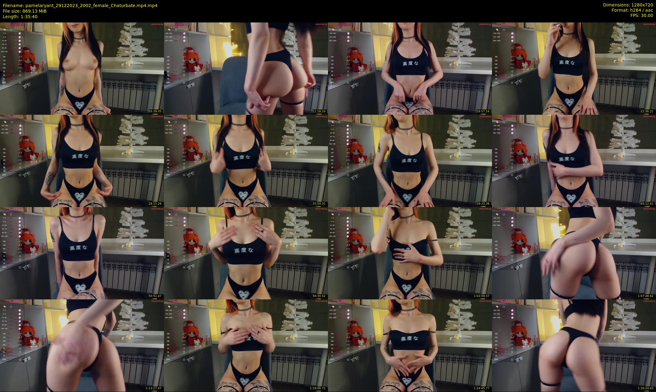 pamelaryant — 96 minute Chaturbate female cam show recording, 720p, Dec 29, 2023
