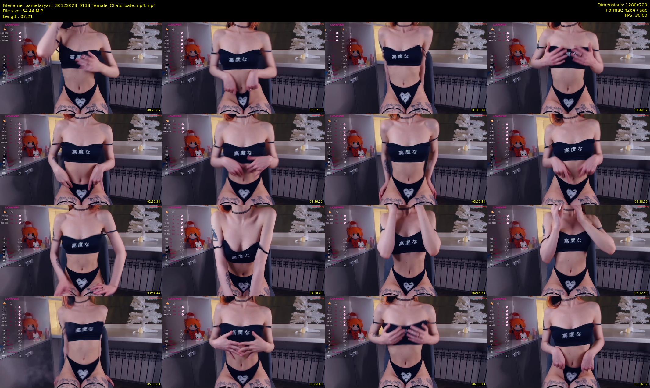 pamelaryant — 8 minute Chaturbate female cam show recording, 720p, Dec 30, 2023