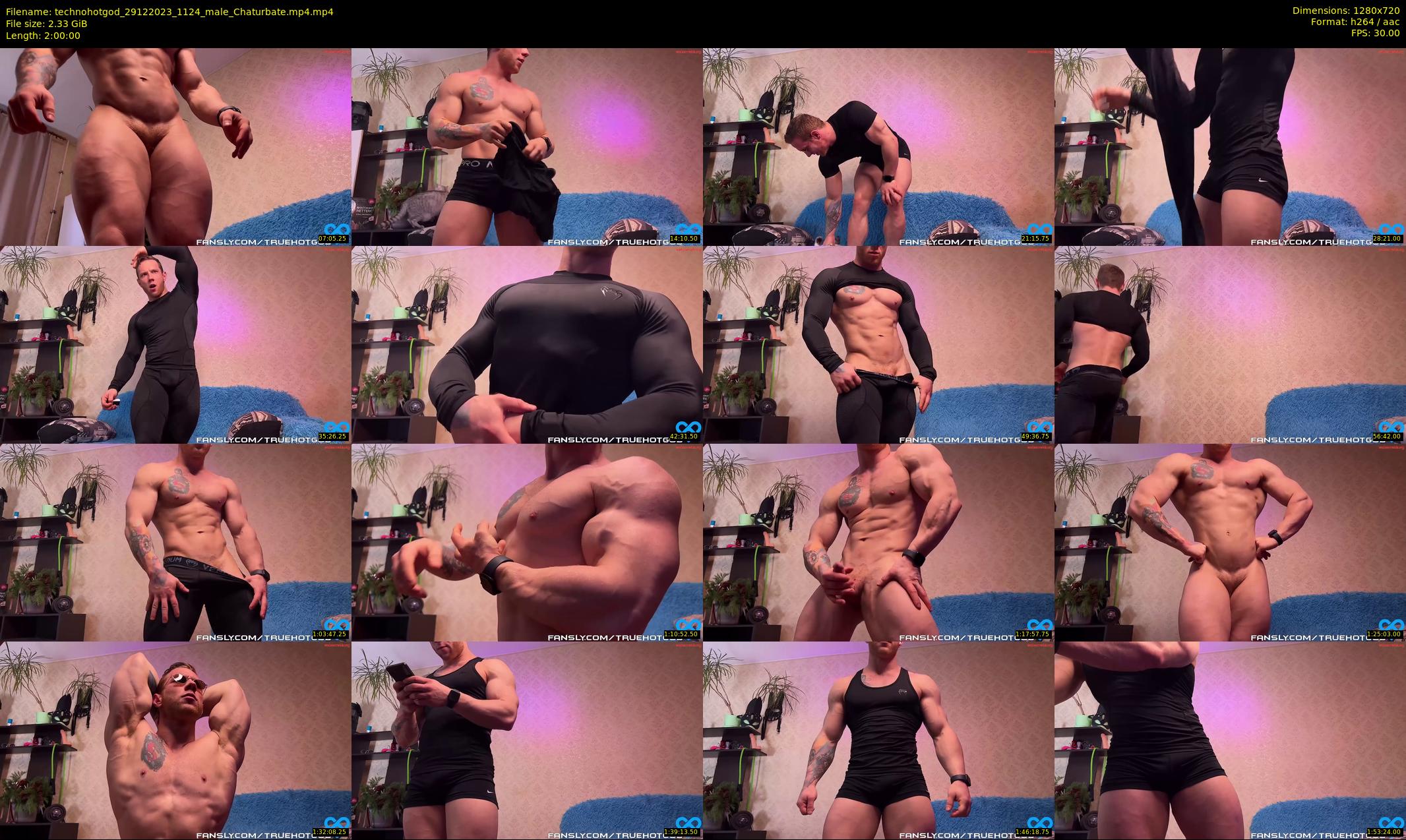 technohotgod — 120 minute Chaturbate male cam show recording, 720p, Dec 29, 2023