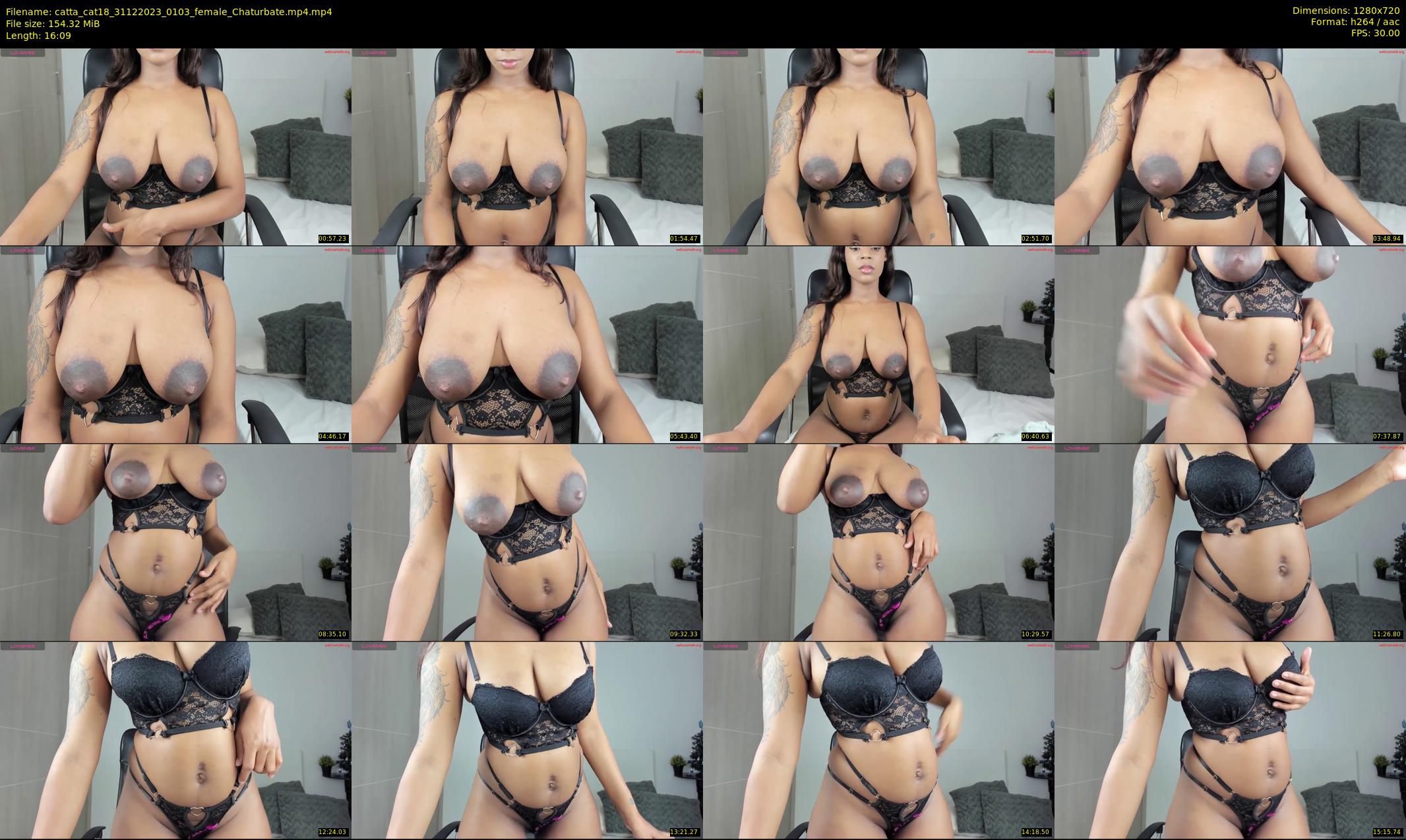 catta_cat18 — 17 minute Chaturbate female cam show recording, 720p, Dec 31, 2023