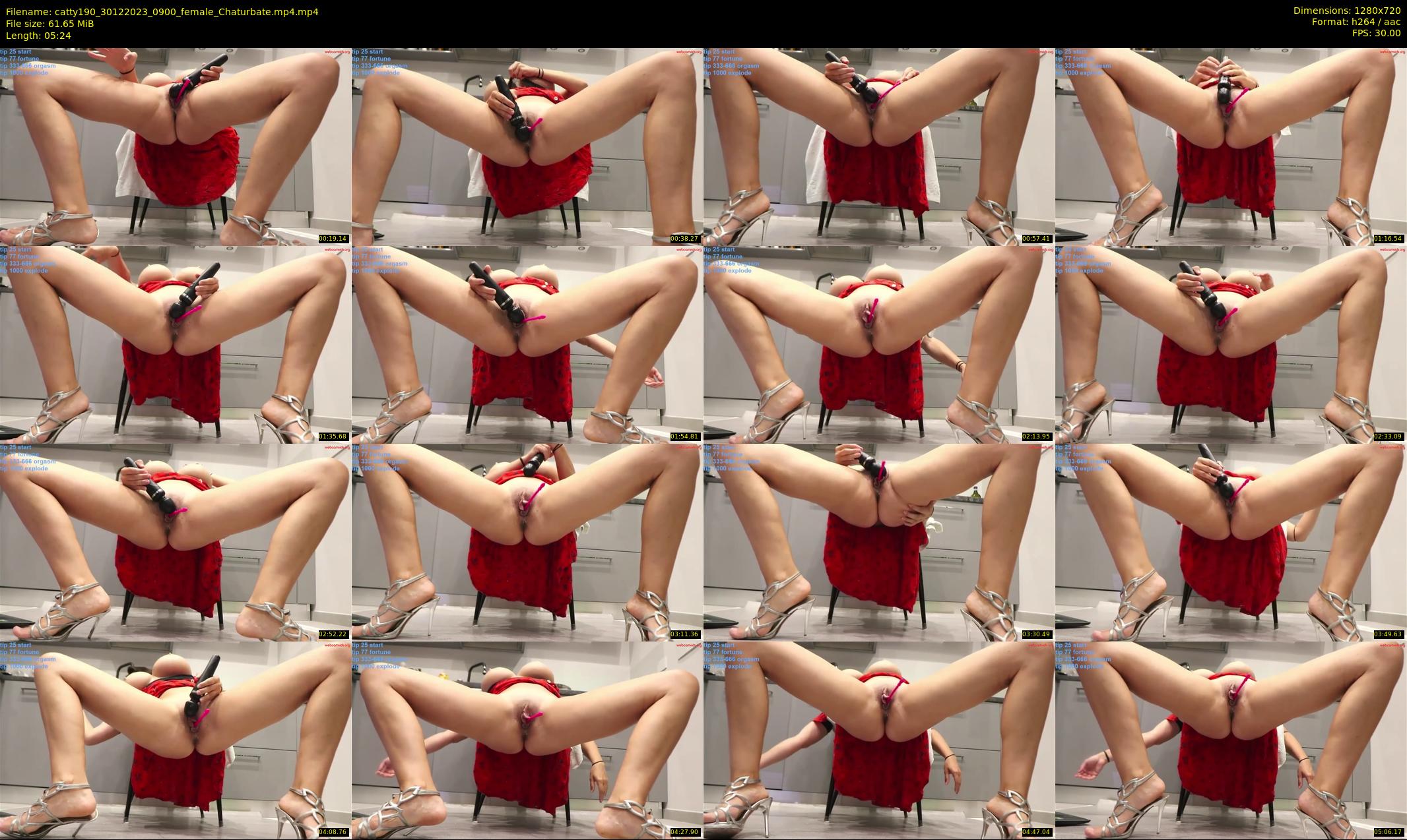 catty190 — 6 minute Chaturbate female cam show recording, 720p, Dec 30, 2023