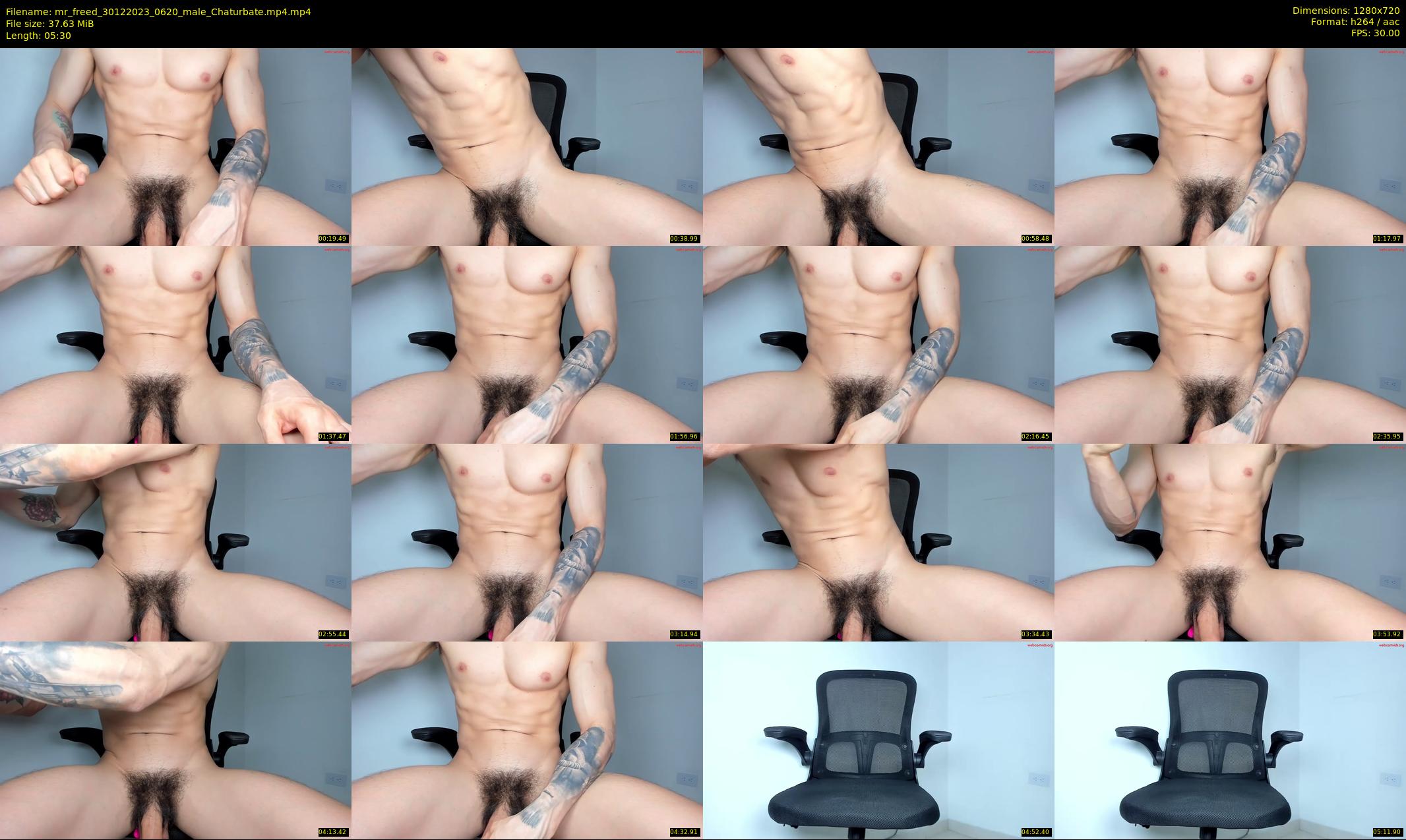 mr_freed — 6 minute Chaturbate male cam show recording, 720p, Dec 30, 2023