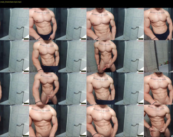 advp69 — 83 minute Chaturbate male cam show recording, 480p, Dec 31, 2023