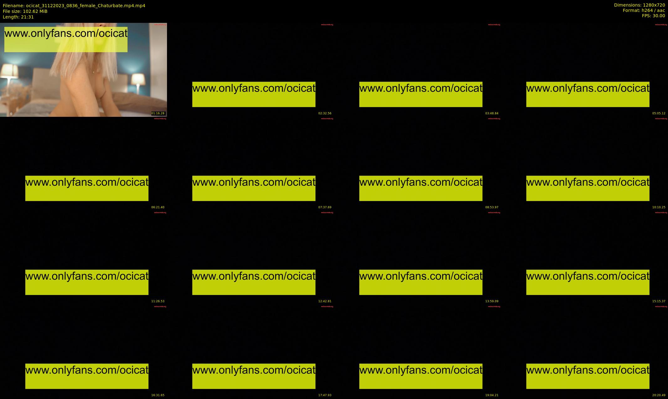 ocicat — 22 minute Chaturbate female cam show recording, 720p, Dec 31, 2023