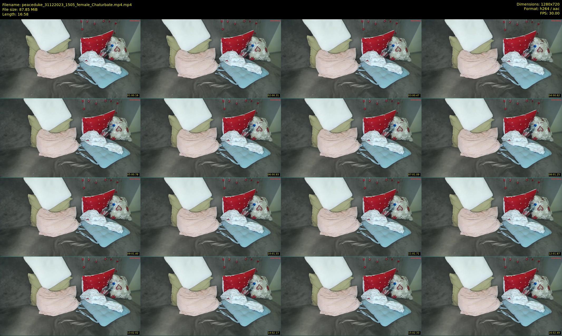 peaceduke — 17 minute Chaturbate female cam show recording, 720p, Dec 31, 2023