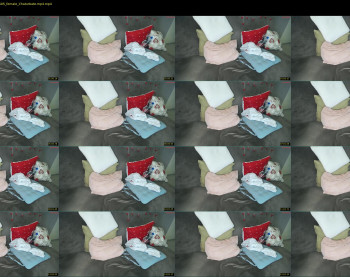 peaceduke — 17 minute Chaturbate female cam show recording, 720p, Dec 31, 2023