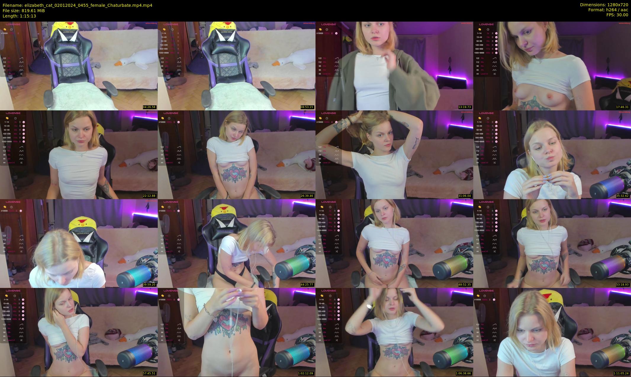 elizabeth_cat — 76 minute Chaturbate female cam show recording, 720p, Jan 2, 2024