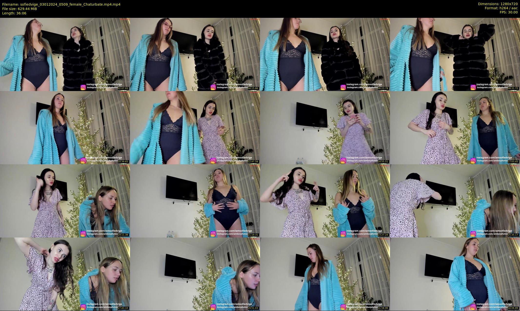 sofiedvige — 37 minute Chaturbate couple cam show recording, 720p, Jan 3, 2024