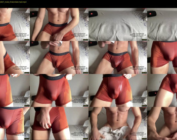 bestdick1991 — 10 minute Chaturbate male cam show recording, 720p, Jan 4, 2024