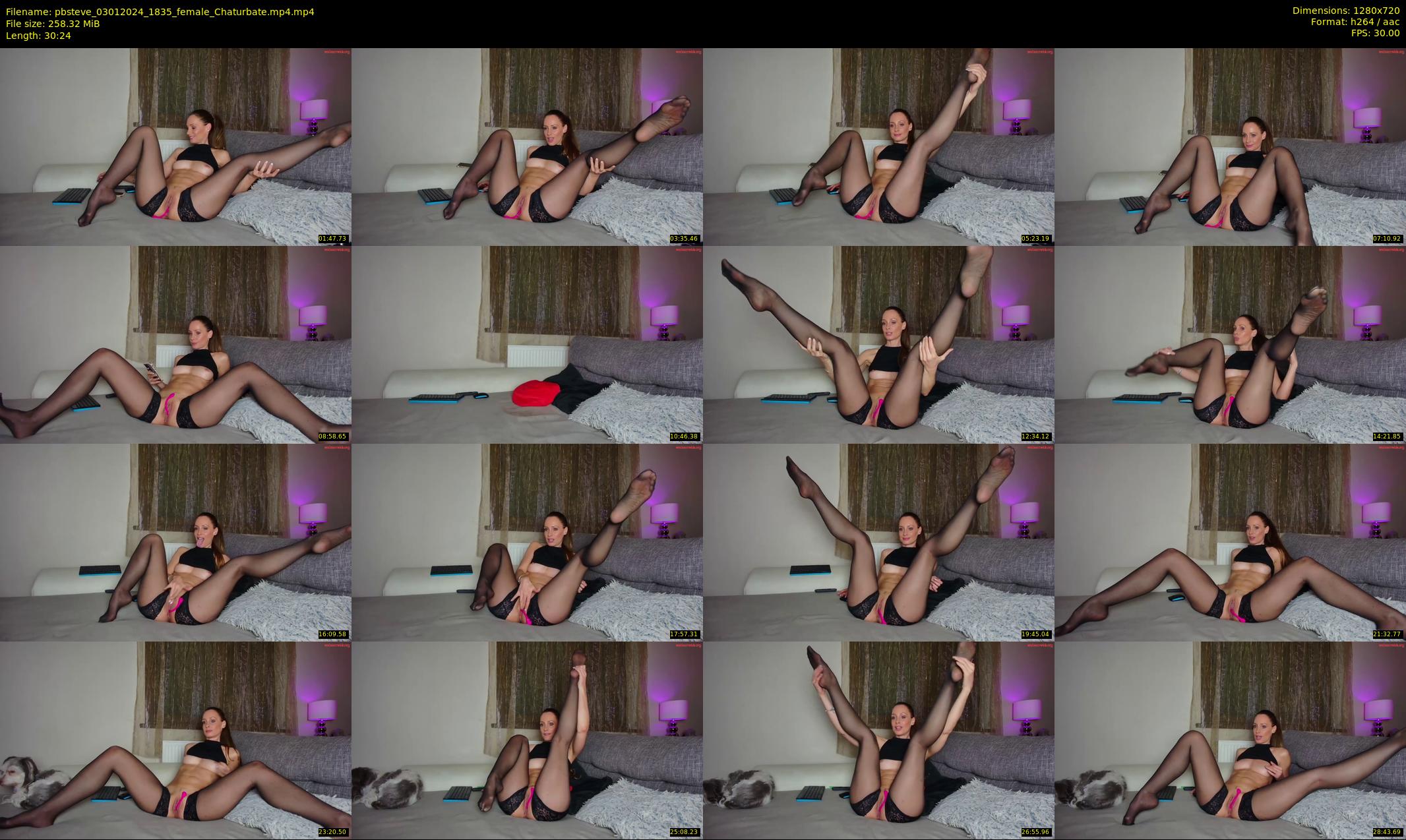 pbsteve — 31 minute Chaturbate couple cam show recording, 720p, Jan 3, 2024