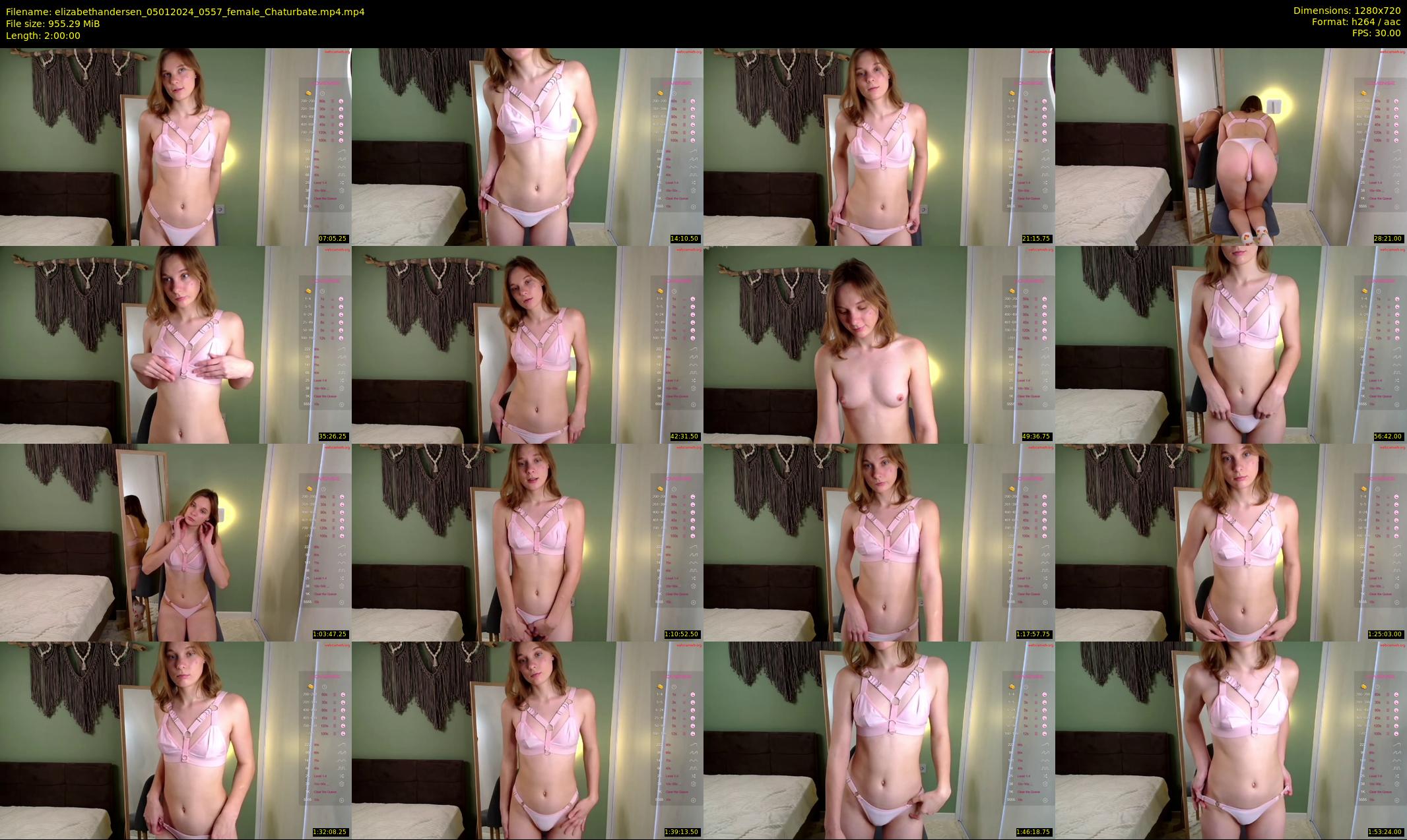 elizabethandersen — 120 minute Chaturbate female cam show recording, 720p, Jan 5, 2024