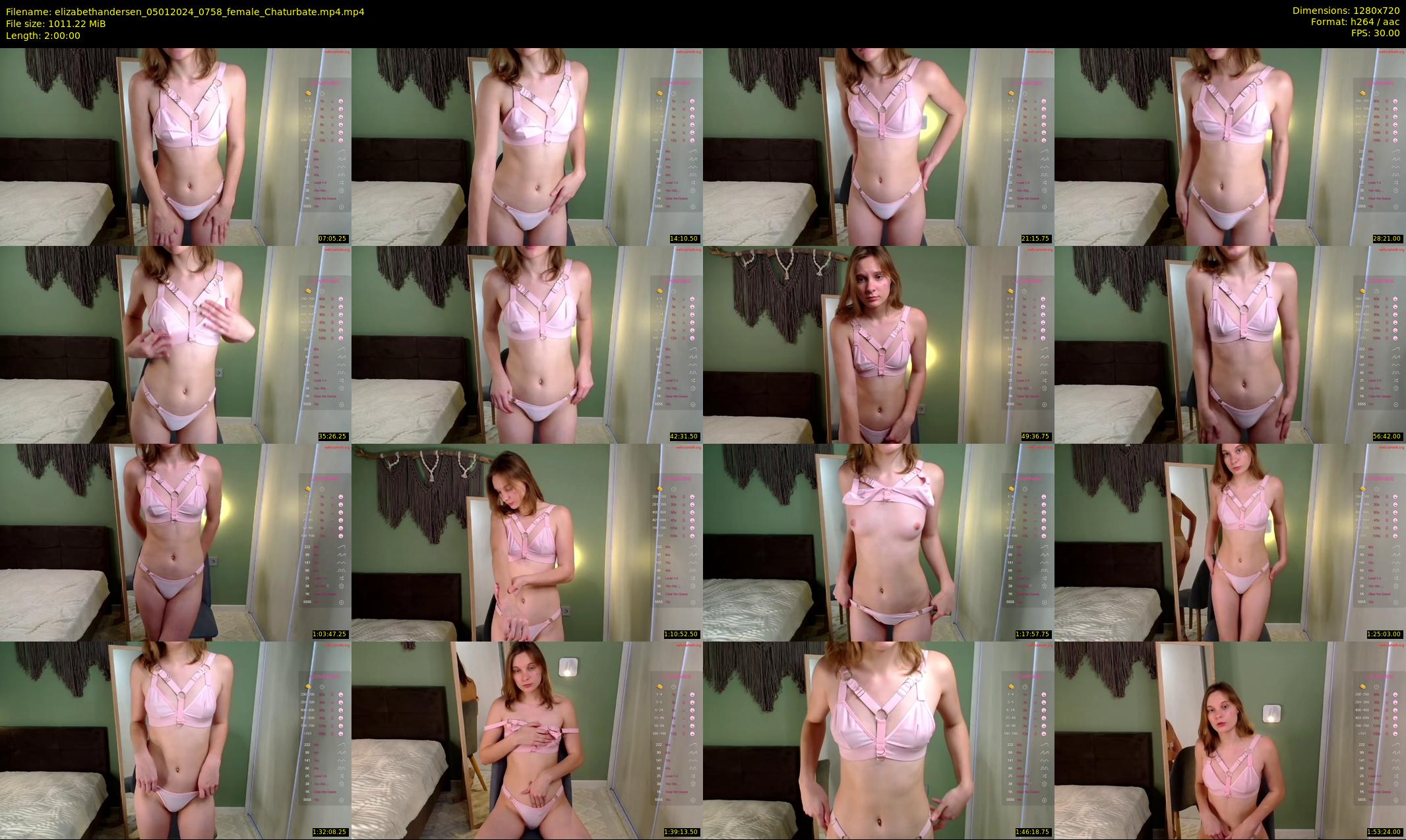 elizabethandersen — 120 minute Chaturbate female cam show recording, 720p, Jan 5, 2024