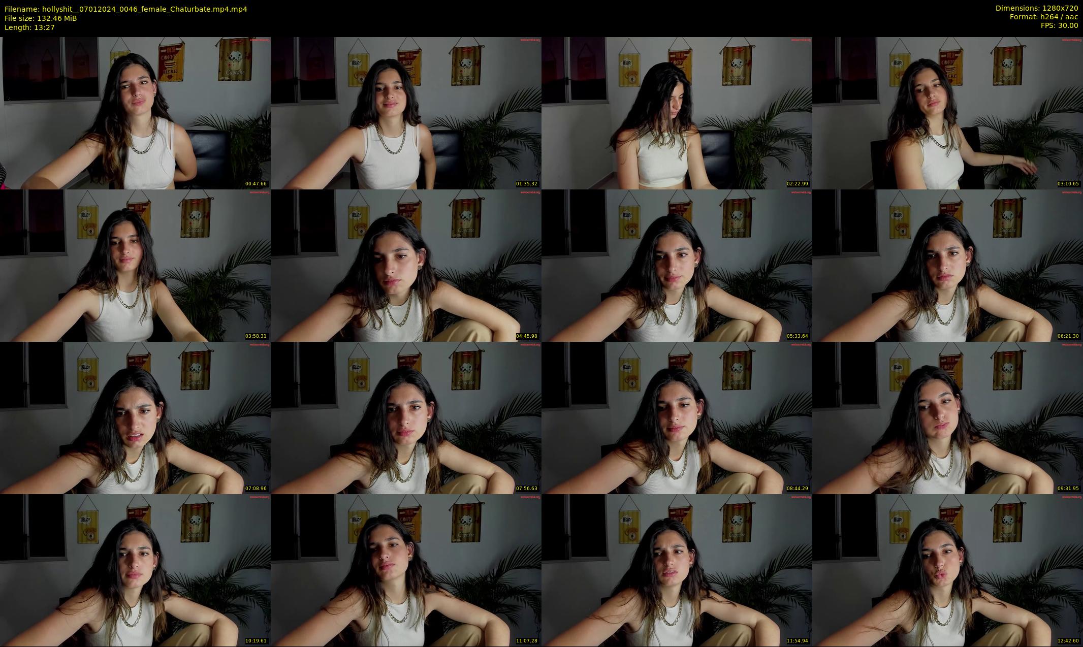 hollyshit_ — 14 minute Chaturbate female cam show recording, 720p, Jan 7, 2024
