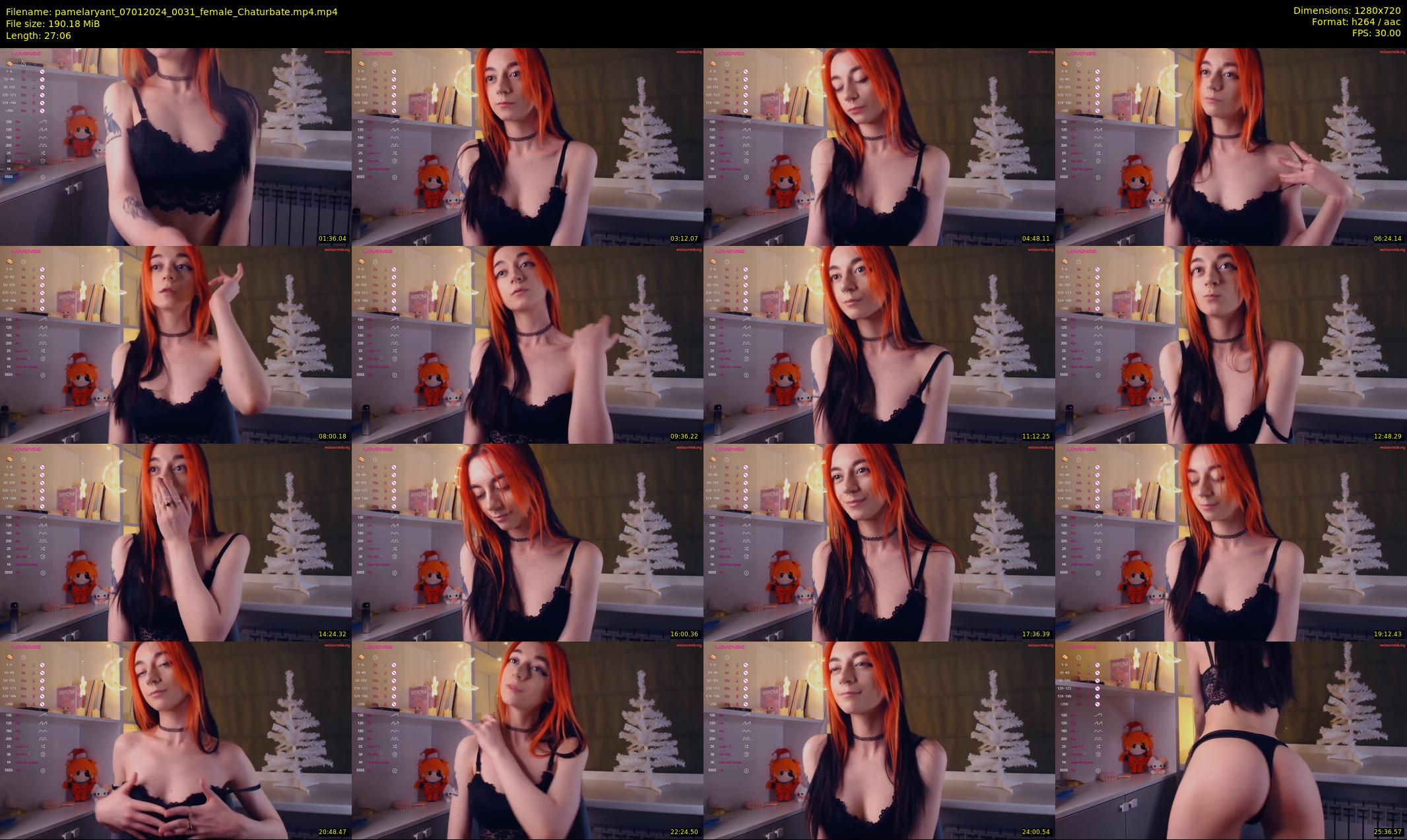 pamelaryant — 28 minute Chaturbate female cam show recording, 720p, Jan 7, 2024