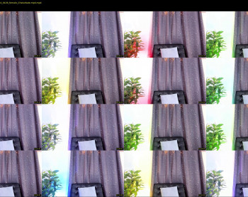 antoniacasarini — 25 minute Chaturbate female cam show recording, 720p, Jan 8, 2024