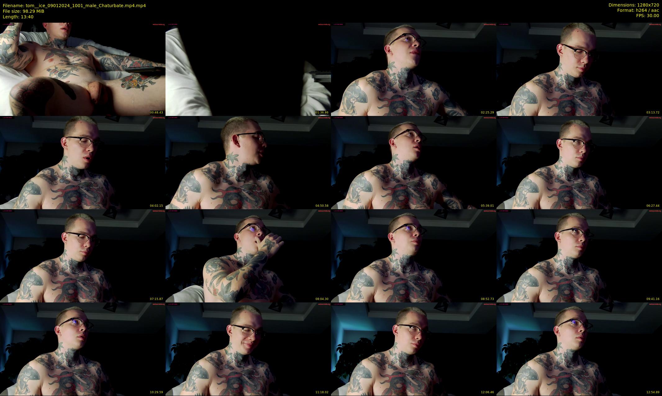 tom__ice — 14 minute Chaturbate male cam show recording, 720p, Jan 9, 2024