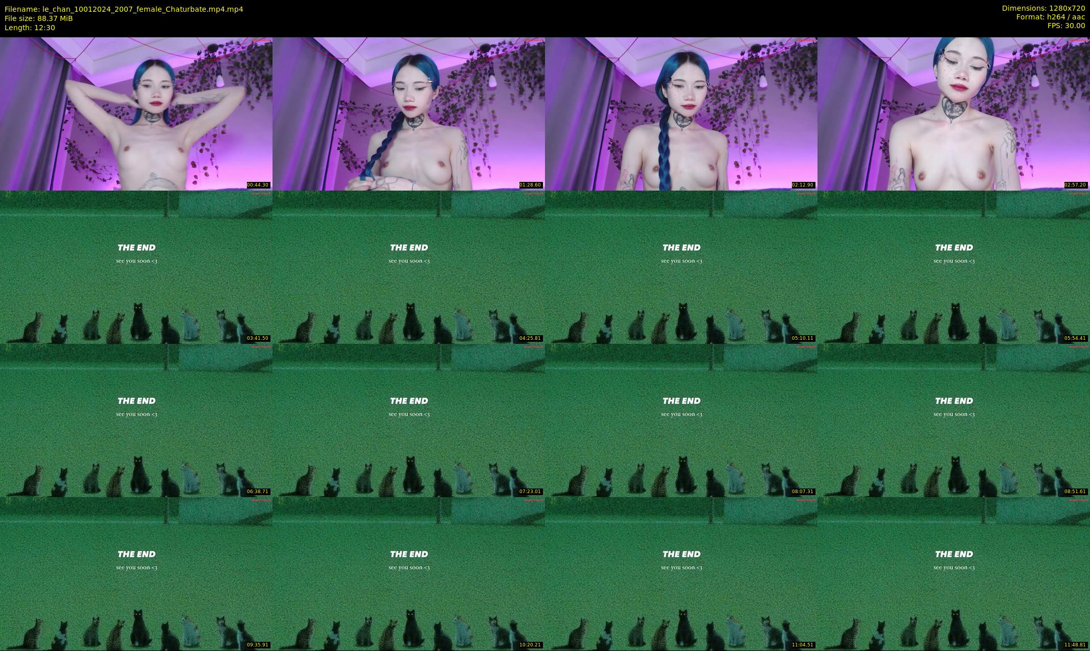 le_chan — 13 minute Chaturbate female cam show recording, 720p, Jan 10, 2024