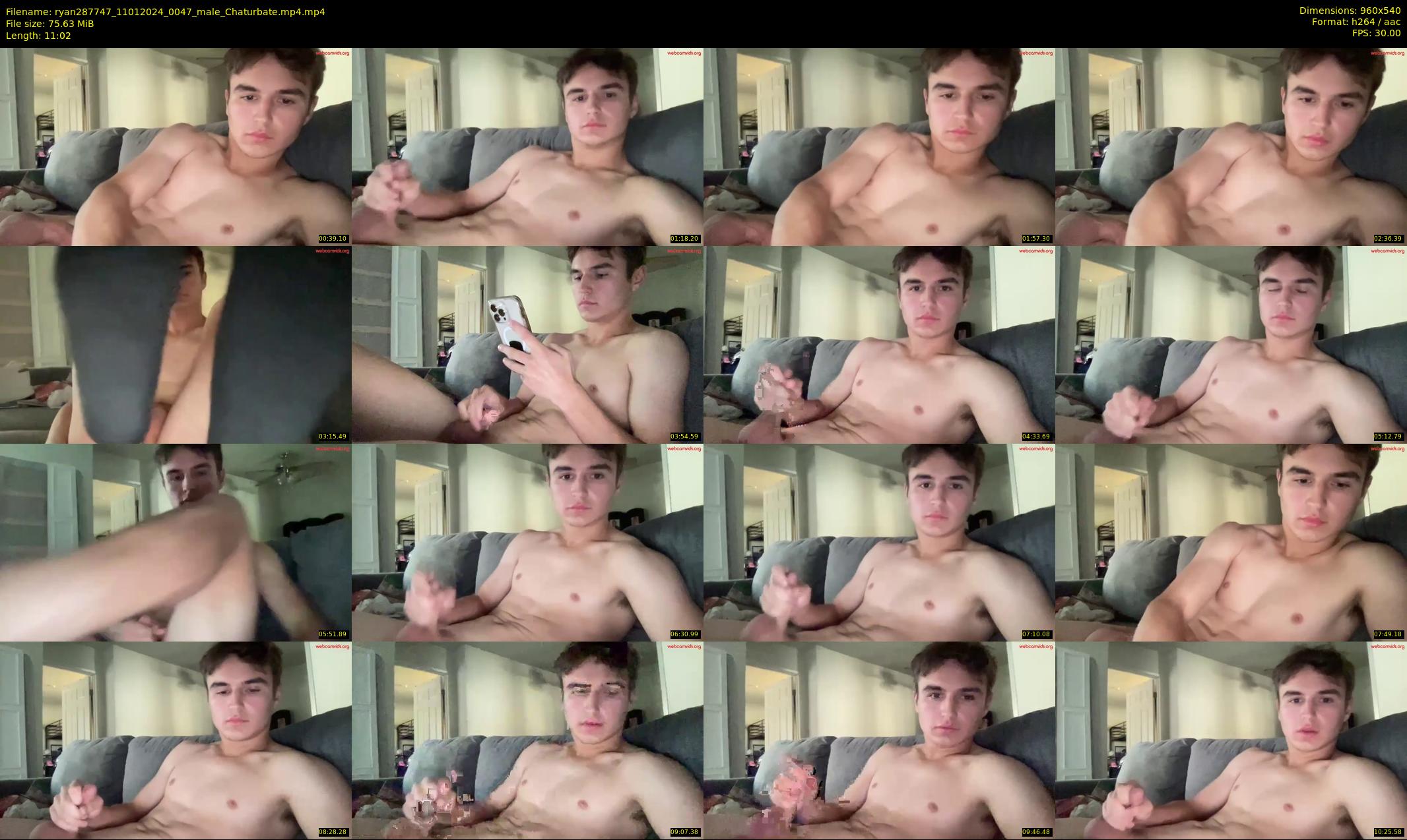 ryan287747 — 12 minute Chaturbate male cam show recording, 480p, Jan 11, 2024