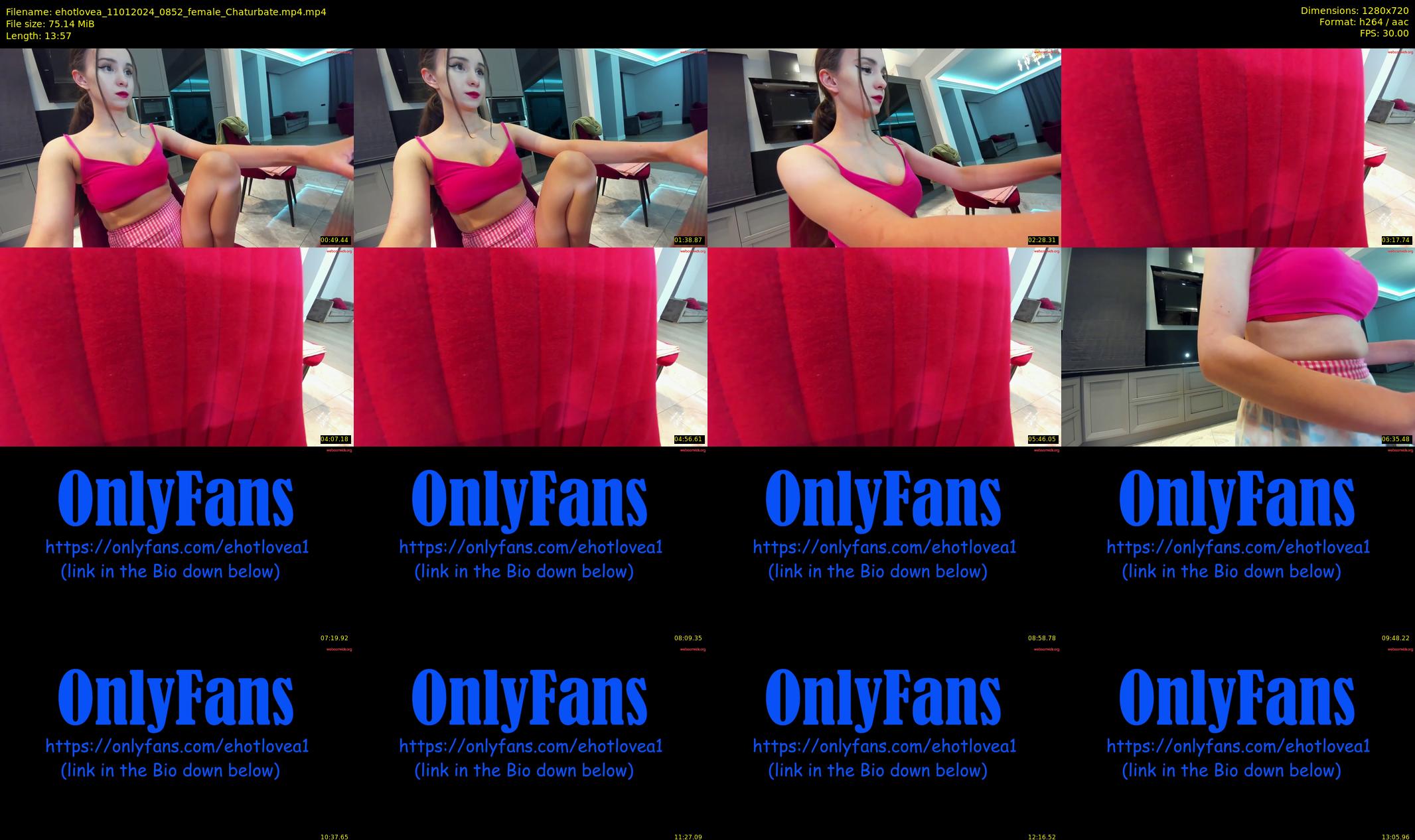 ehotlovea — 14 minute Chaturbate female cam show recording, 720p, Jan 11, 2024