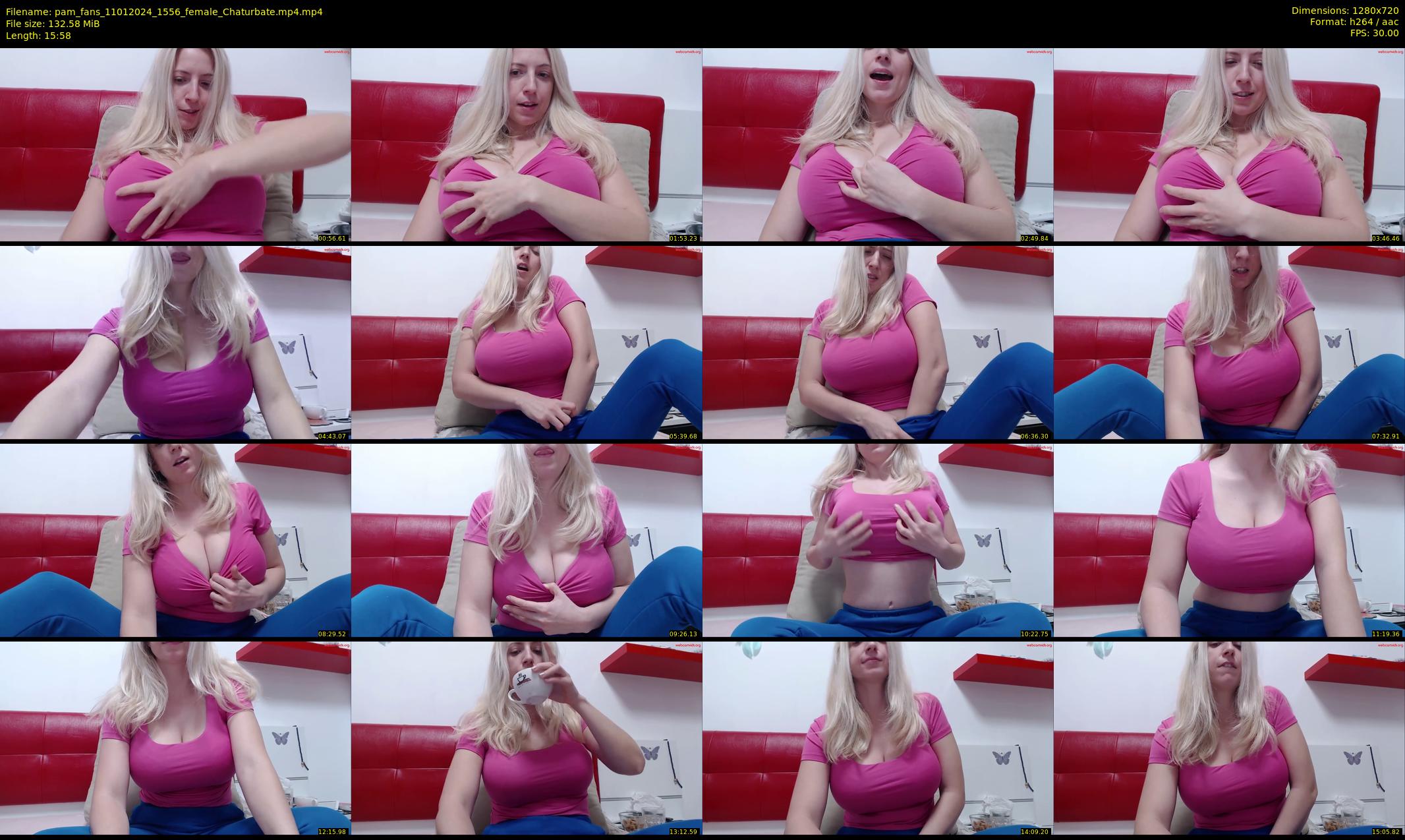 pam_fans — 16 minute Chaturbate female cam show recording, 720p, Jan 11, 2024