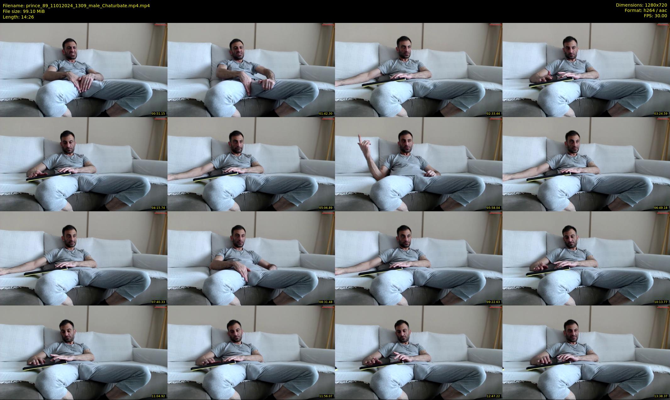 prince_89 — 15 minute Chaturbate male cam show recording, 720p, Jan 11, 2024